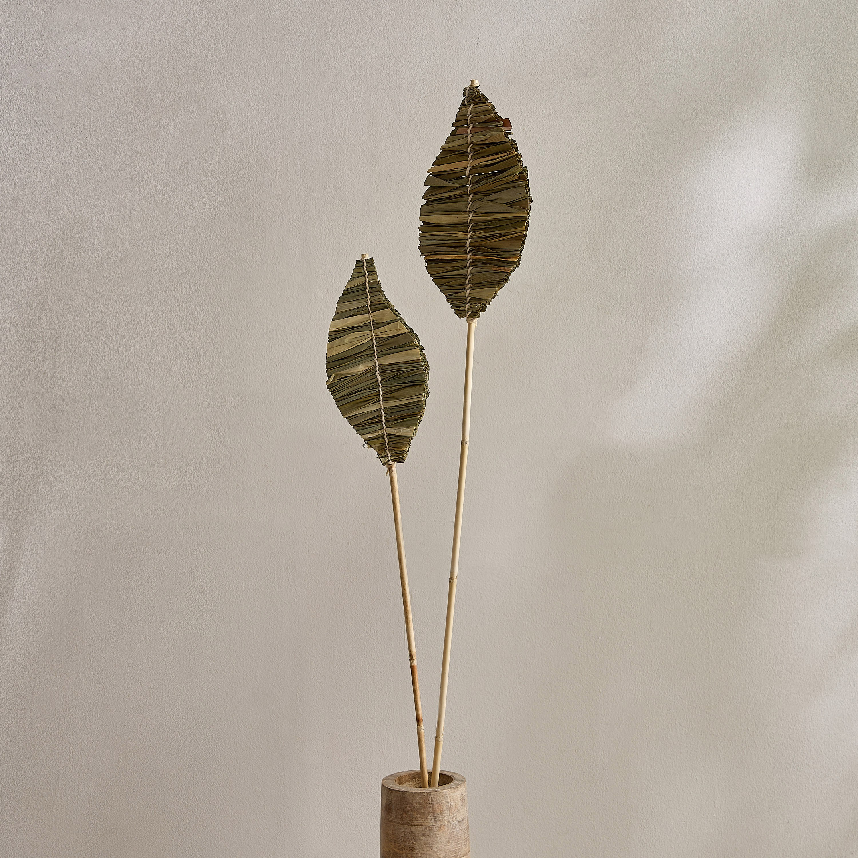 جذع ورق نخيل مجفف من سينا-hbxdecorandfurnishings-homeaccessories-artificialflowersandplants-image-1