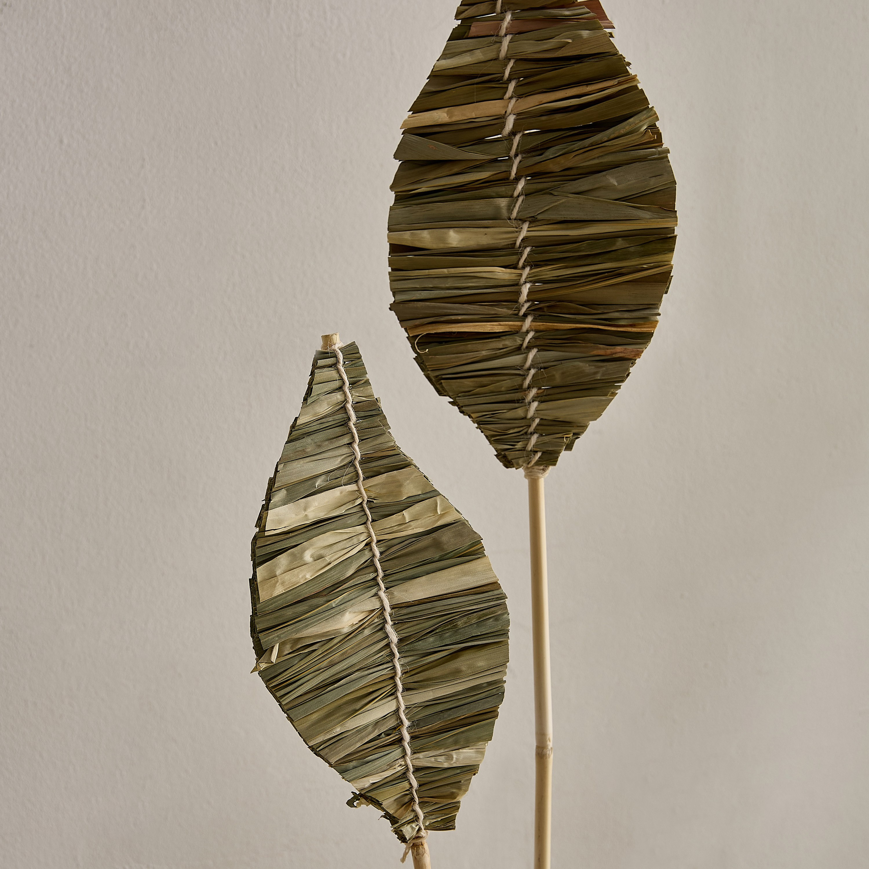 جذع ورق نخيل مجفف من سينا-hbxdecorandfurnishings-homeaccessories-artificialflowersandplants-image-3