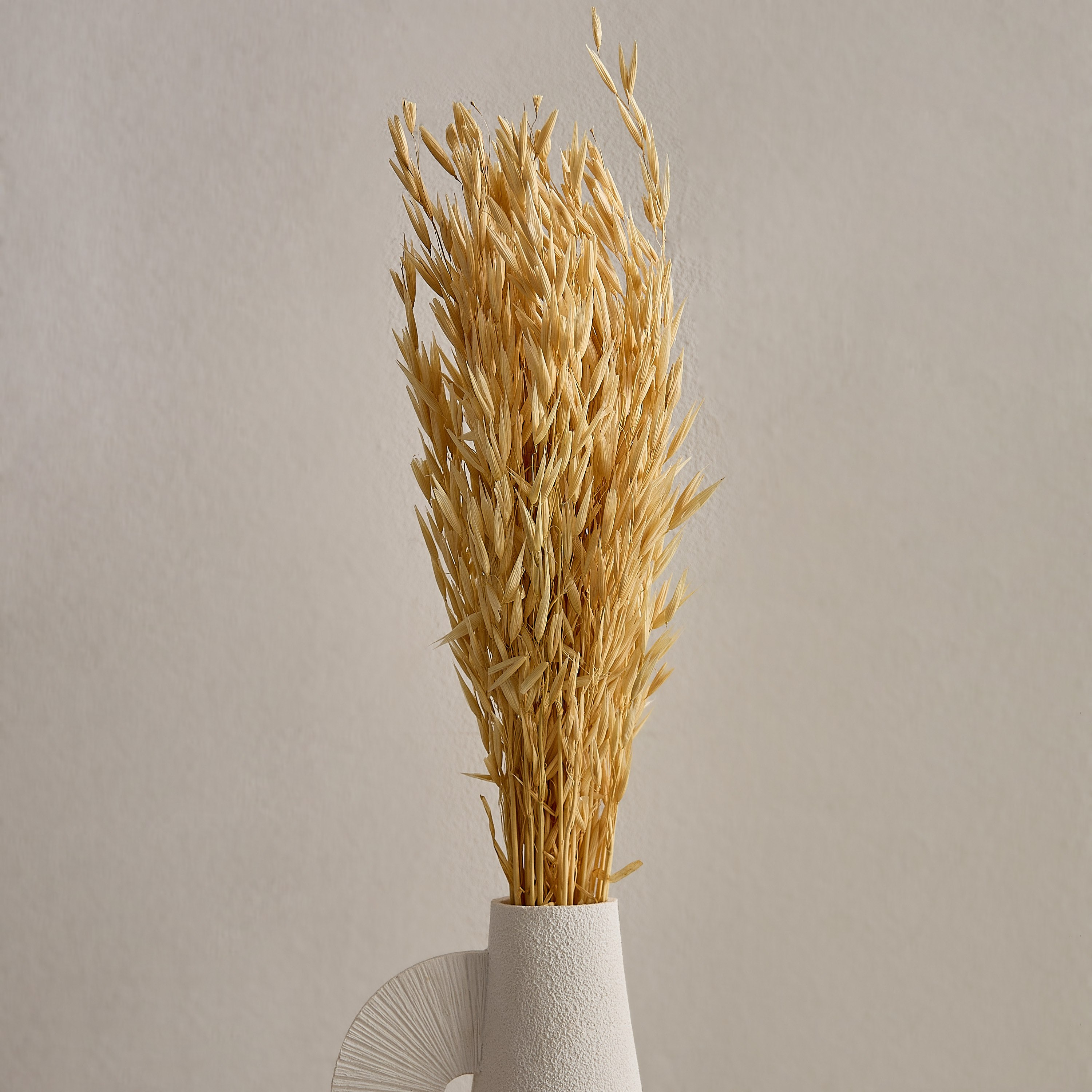 عشب الهاوانا ميسك ستوك من سينا-hbxdecorandfurnishings-homeaccessories-artificialflowersandplants-image-1