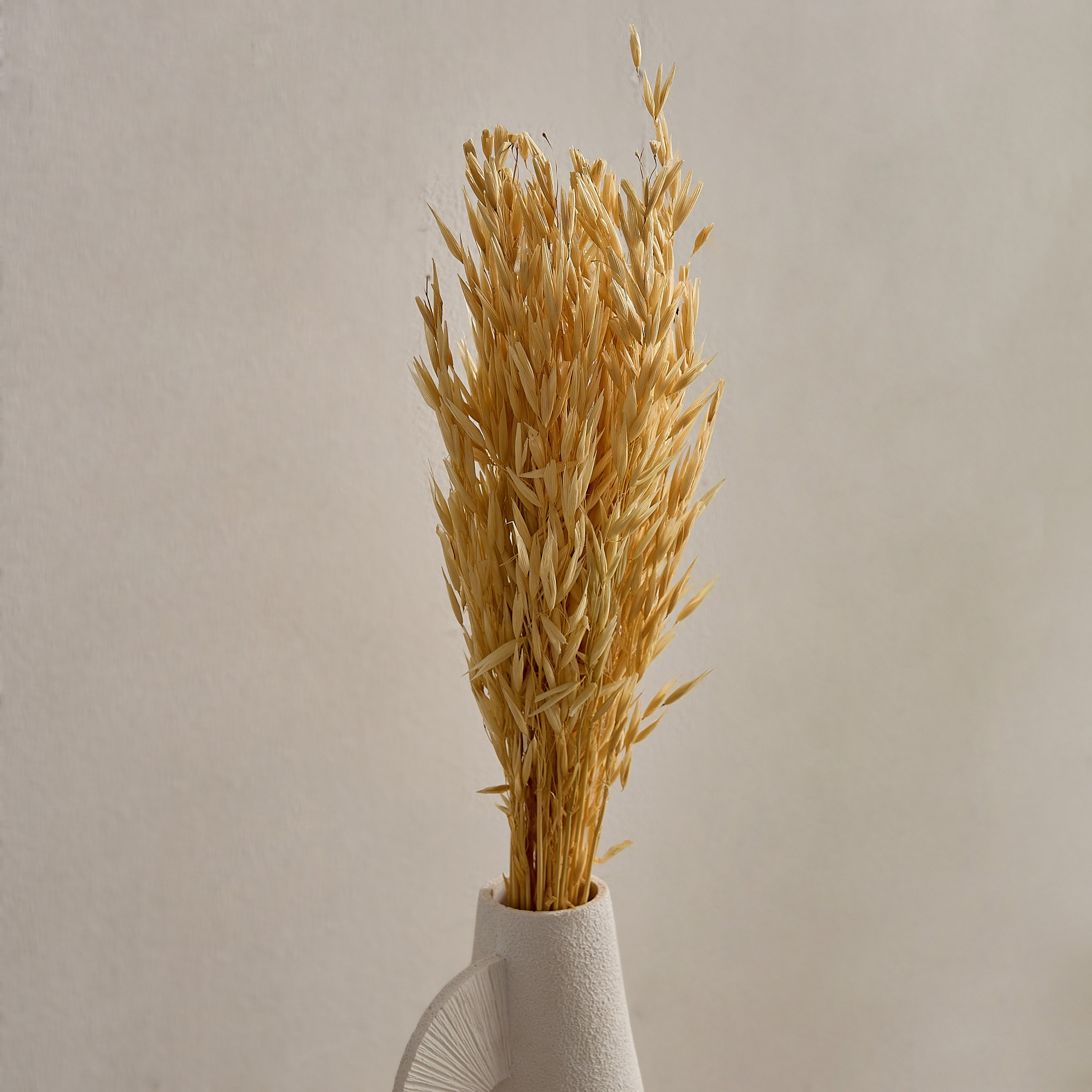 عشب الهاوانا ميسك ستوك من سينا-hbxdecorandfurnishings-homeaccessories-artificialflowersandplants-image-2