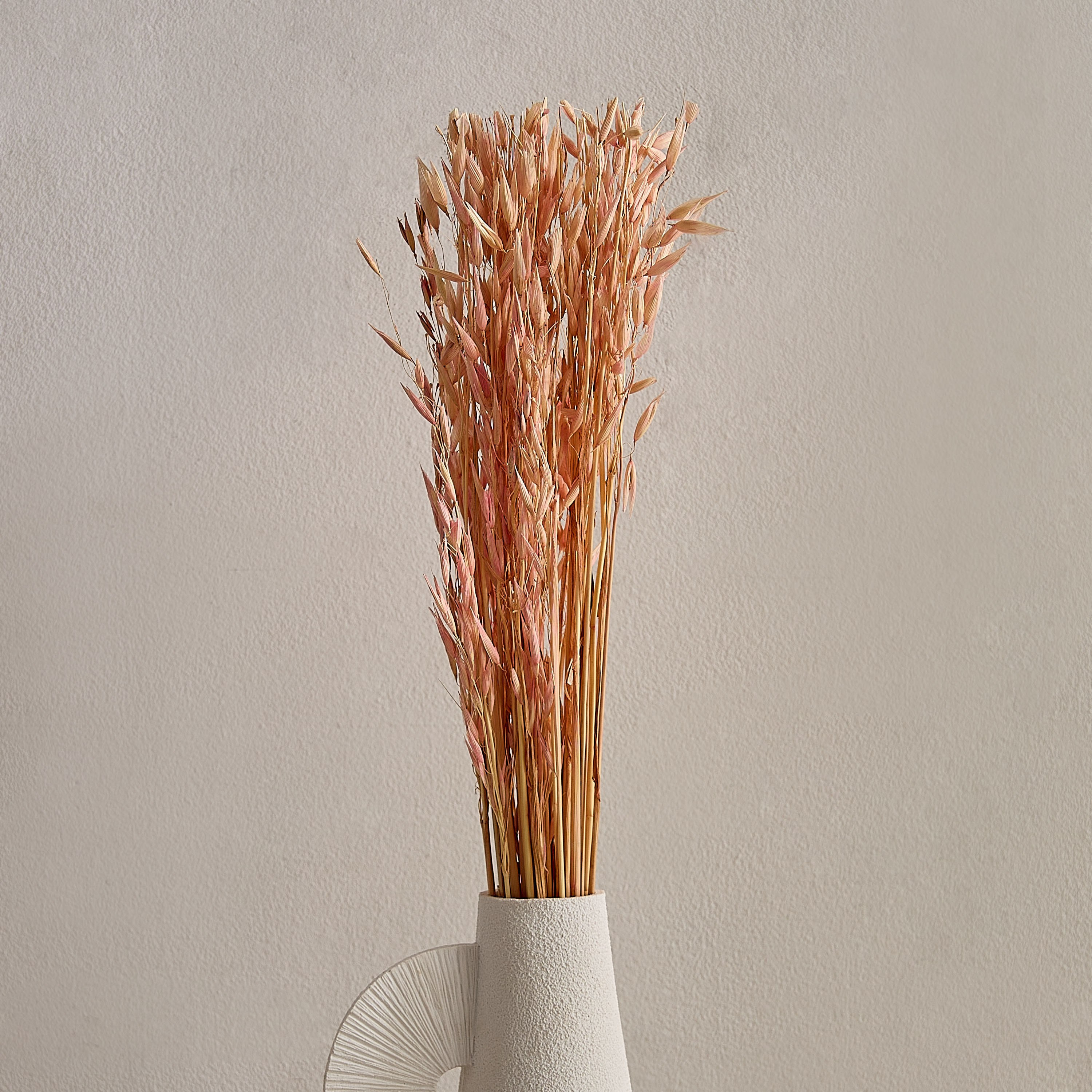 عشب الهاوانا ميسك ستوك من سينا-hbxdecorandfurnishings-homeaccessories-artificialflowersandplants-image-1
