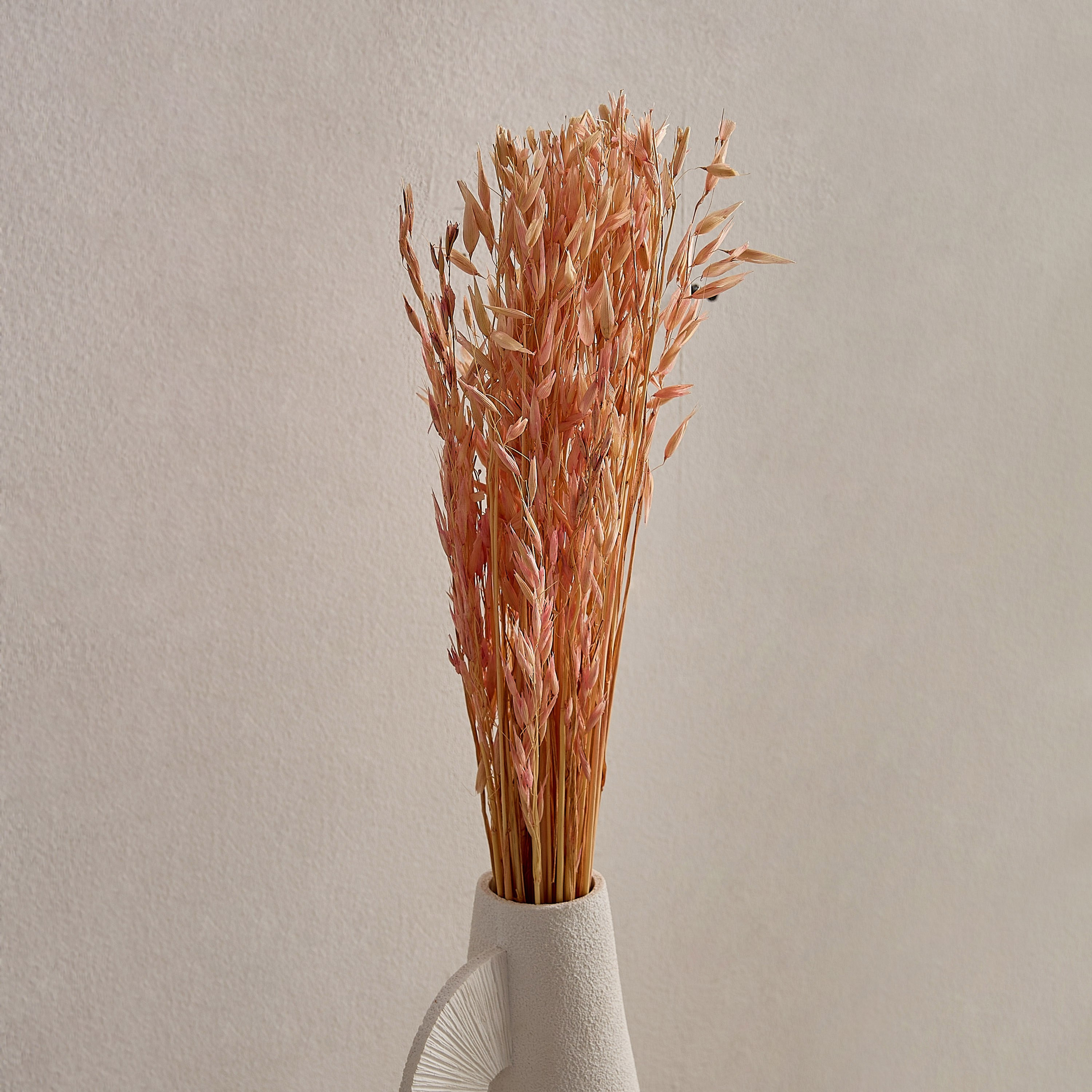 عشب الهاوانا ميسك ستوك من سينا-hbxdecorandfurnishings-homeaccessories-artificialflowersandplants-image-2