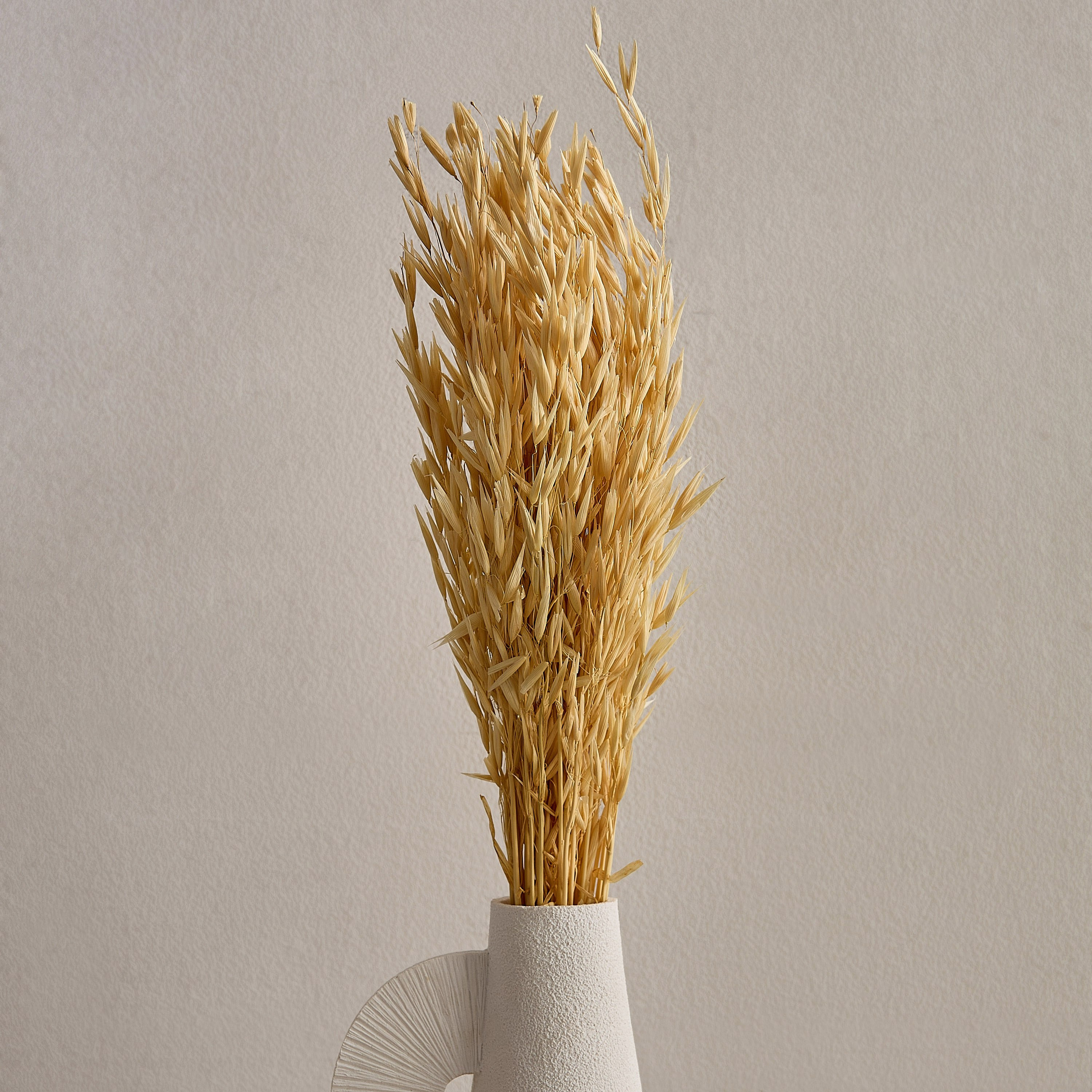 عشب الهاوانا ميسك ستوك من سينا-hbxdecorandfurnishings-homeaccessories-artificialflowersandplants-image-1