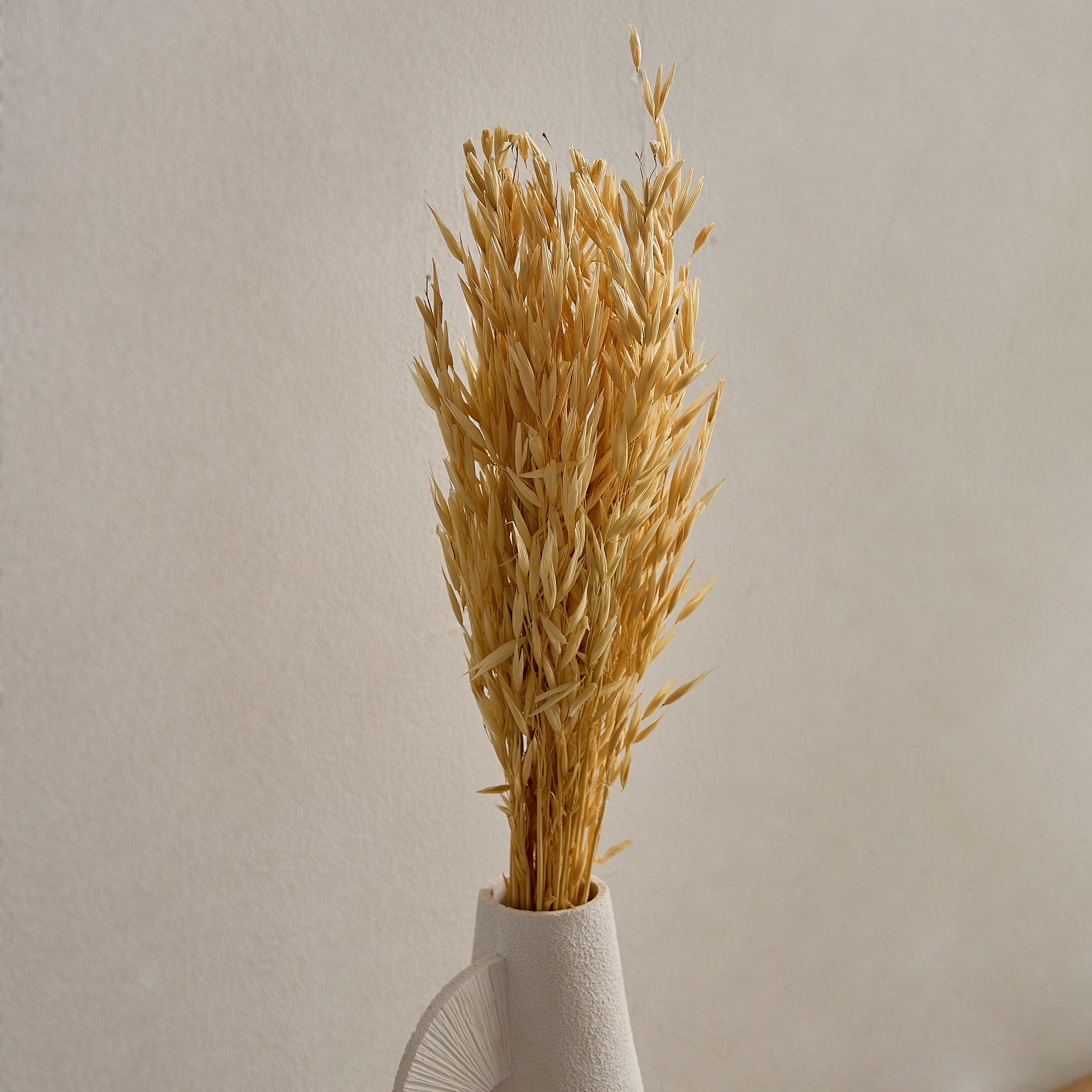 عشب الهاوانا ميسك ستوك من سينا-hbxdecorandfurnishings-homeaccessories-artificialflowersandplants-image-2