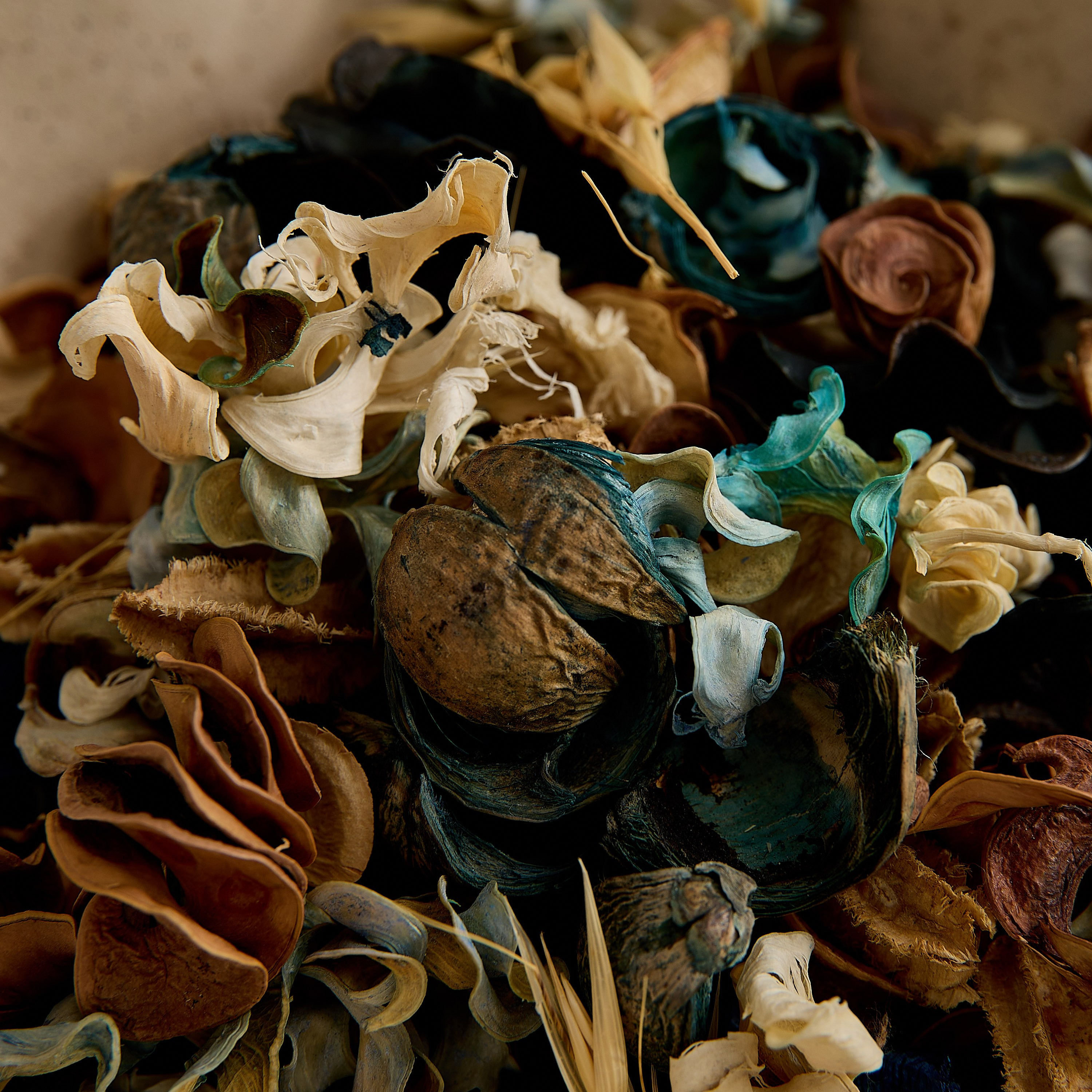 نباتات مجفف برائحة المحيط من سينا - 100 جرام-hbxhomeware-hbxdecorandfurnishings-image-4