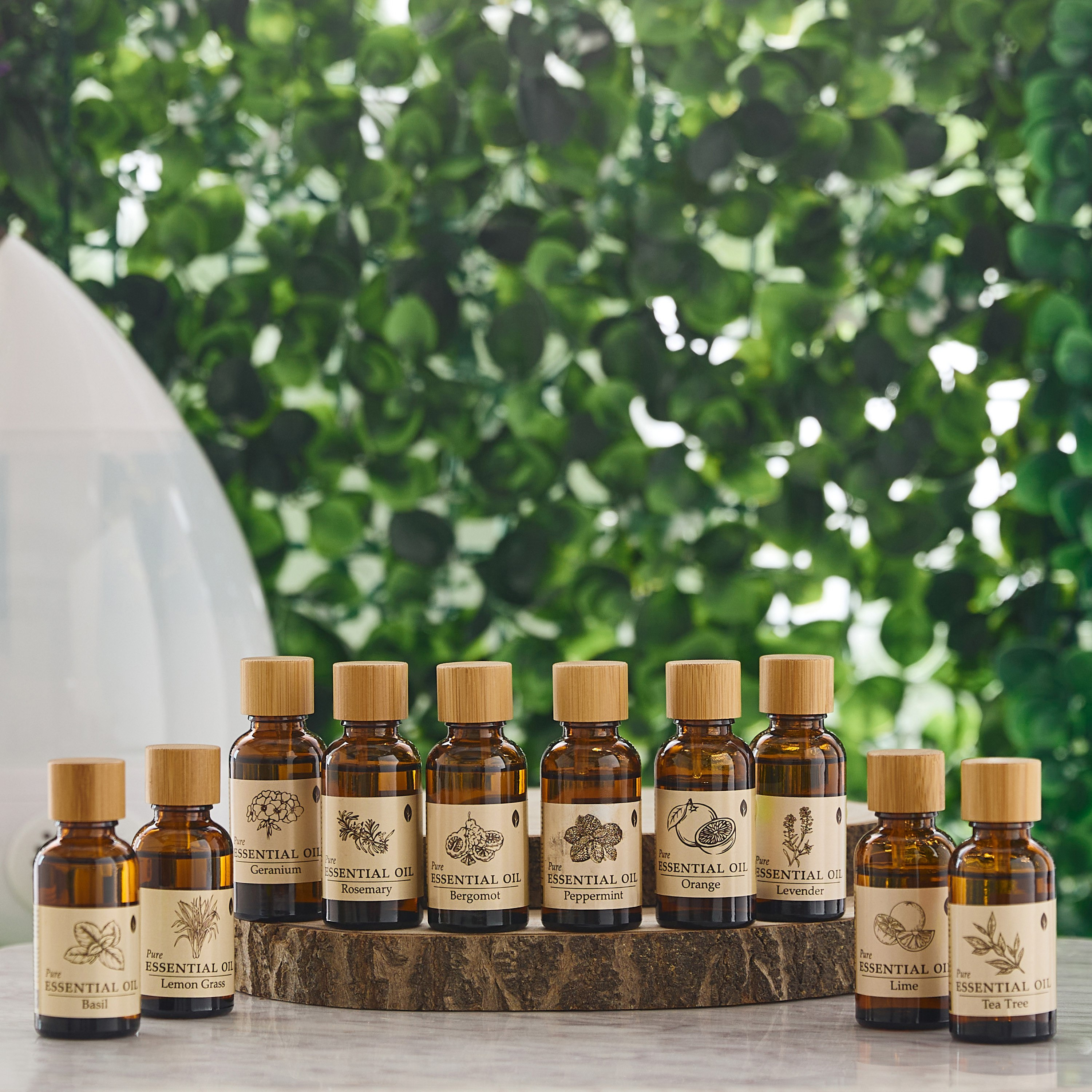 زيت عطري برائحة نبات إبرة الراعي من سينا - 30 مل-PROMO_HB_AE_B1G1_250925-image-4