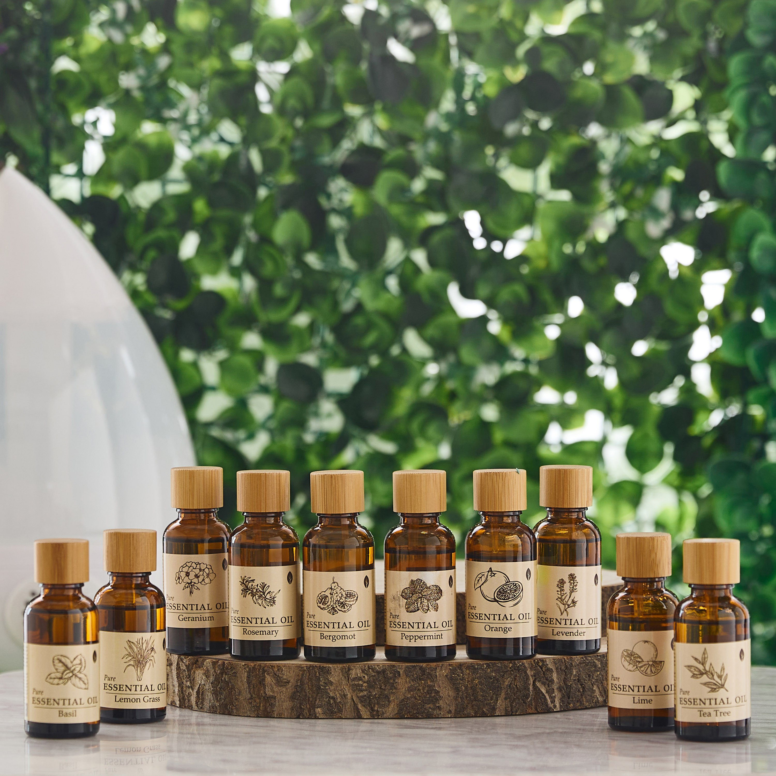 زيت عطري برائحة البرغموت من سينا - 30 مل-hbxhomeware-hbxdecorandfurnishings-image-4