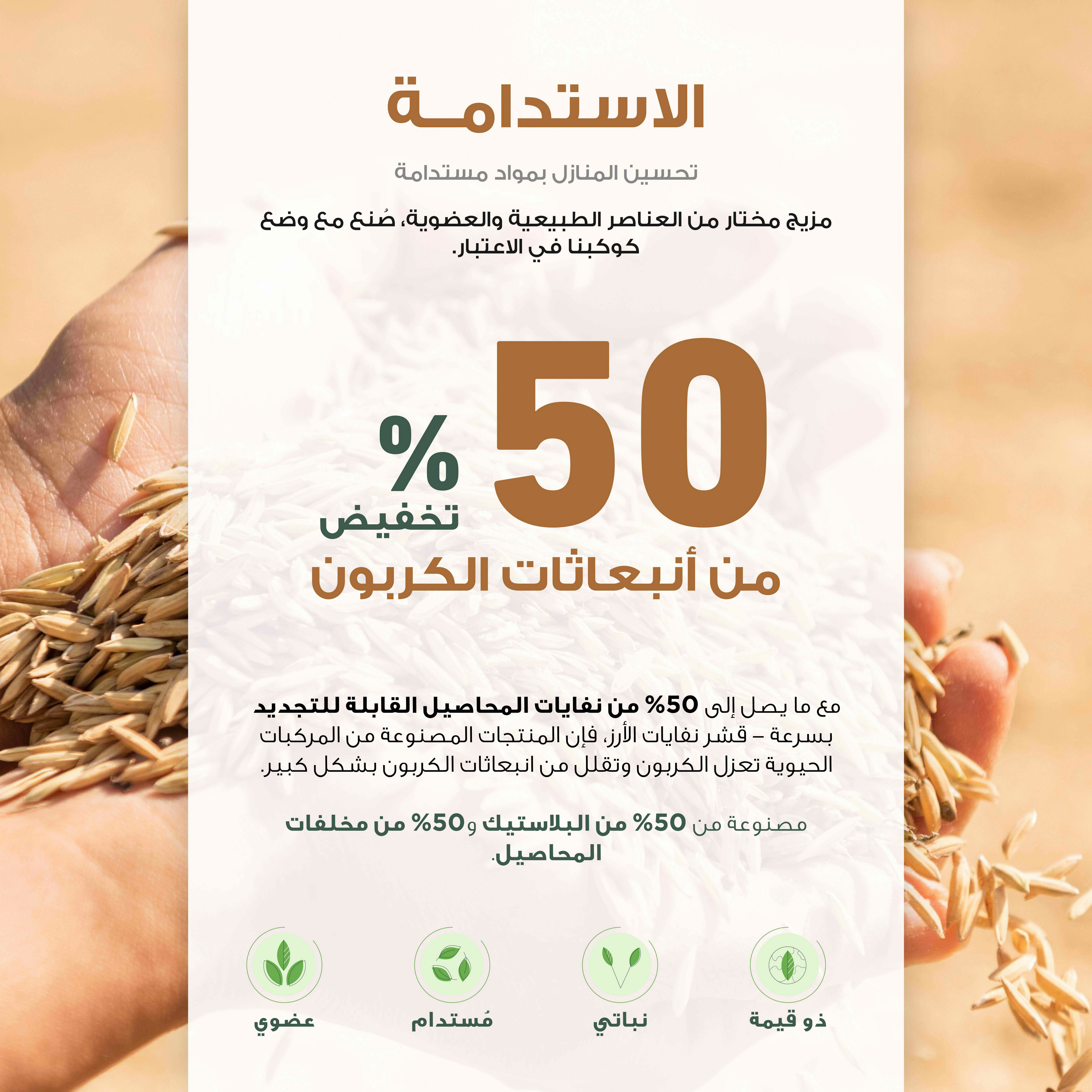 حامل أدوات مائدة من رايس هاسك - 12.2x11.5x11.5 سم-hbxhomeware-hbxkitchen-image-7