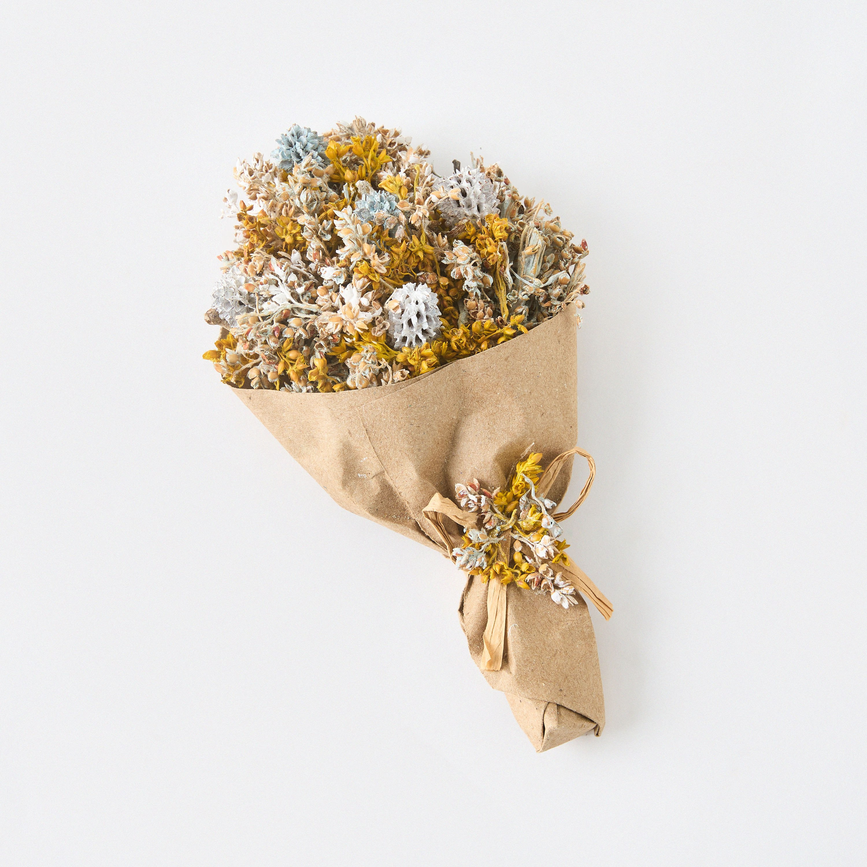 باقة عشبة مختلطة من كيفن - 9x5x18 سم-hbxdecorandfurnishings-homeaccessories-artificialflowersandplants-image-5