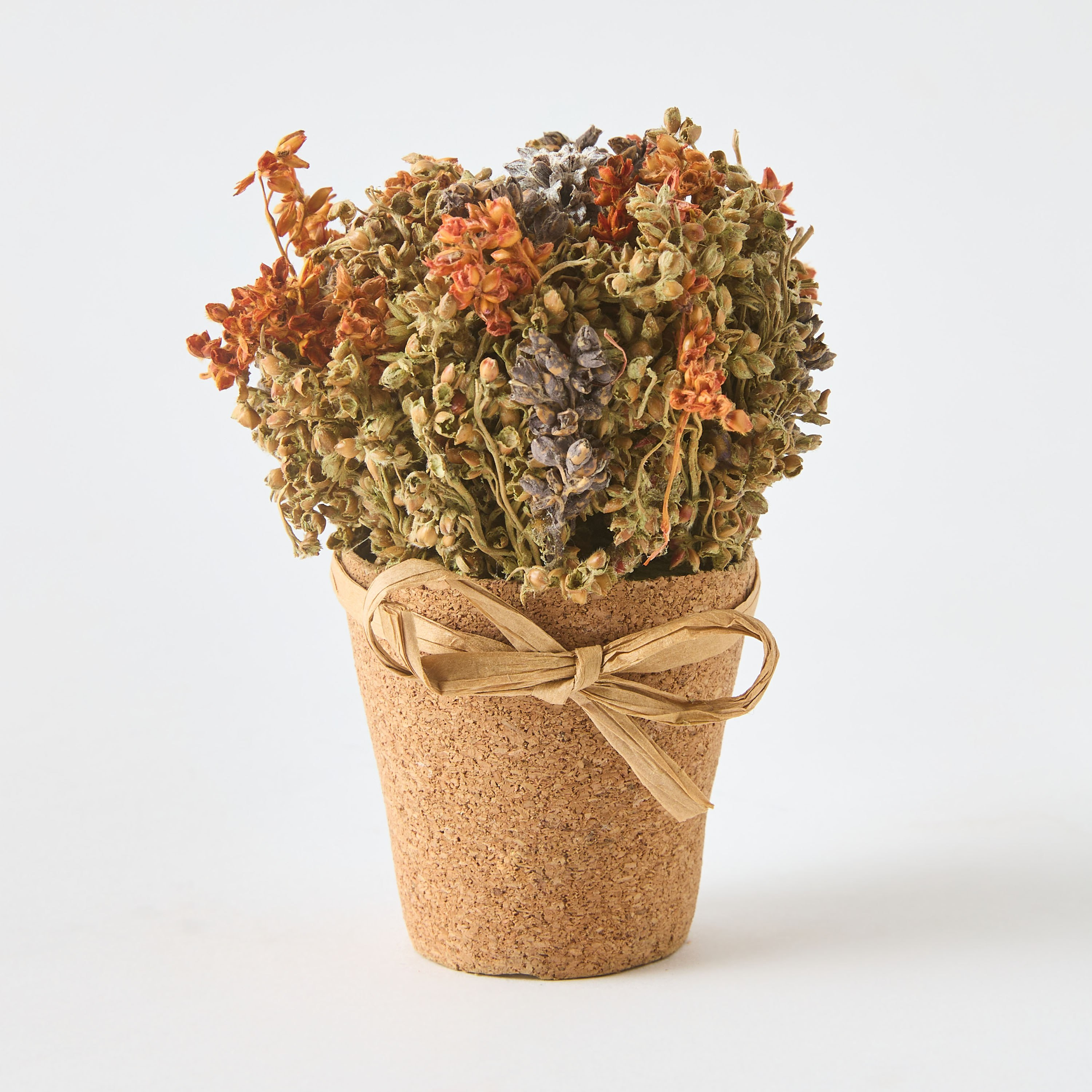 باقة زهور هارفيست في وعاء مستدير من كيفن- 7x7x10 سم-hbxdecorandfurnishings-homeaccessories-artificialflowersandplants-image-4