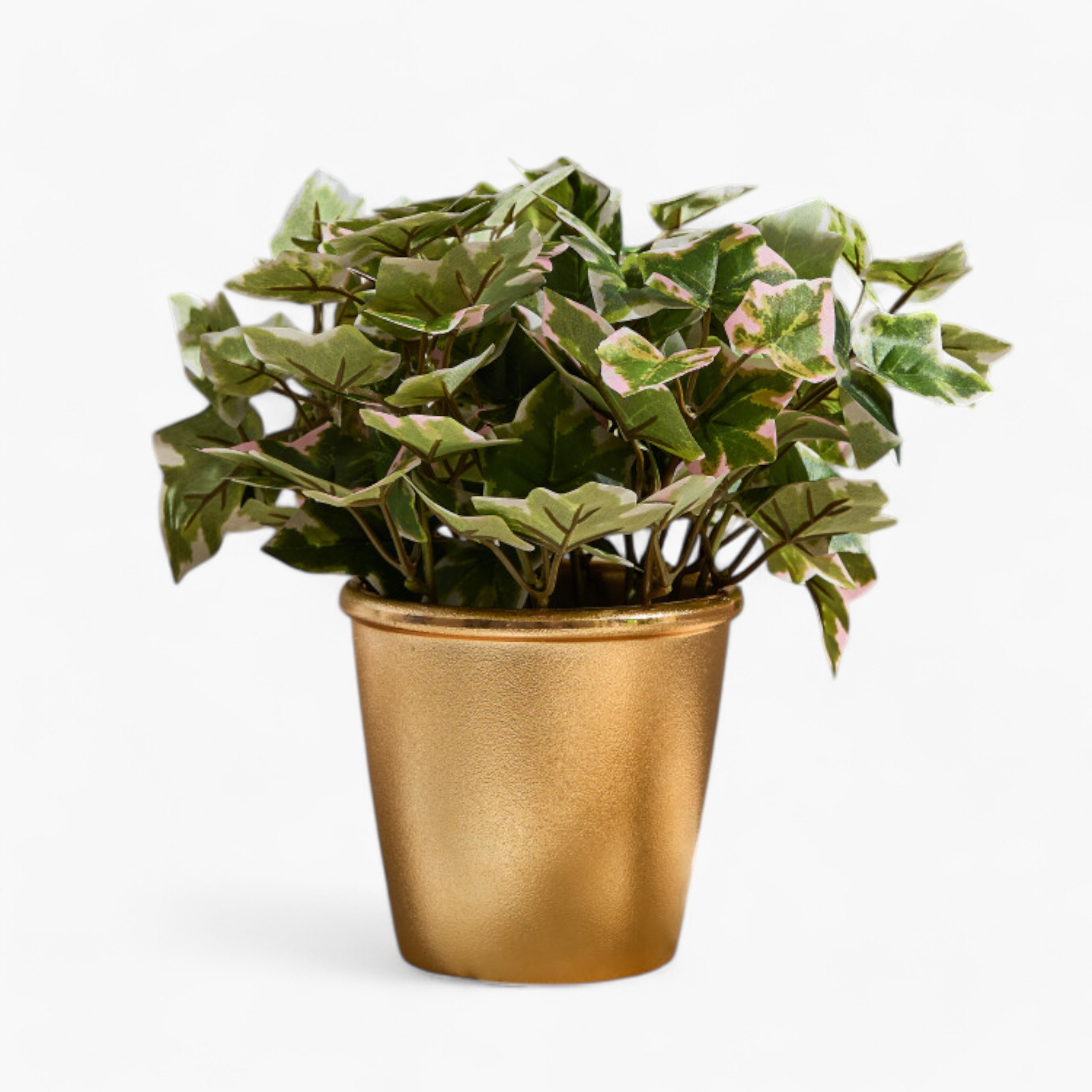 نبتة أوراق اللبلاب في إناء من ليارا - 28 سم-hbxhomeware-hbxdecorandfurnishings-image-5