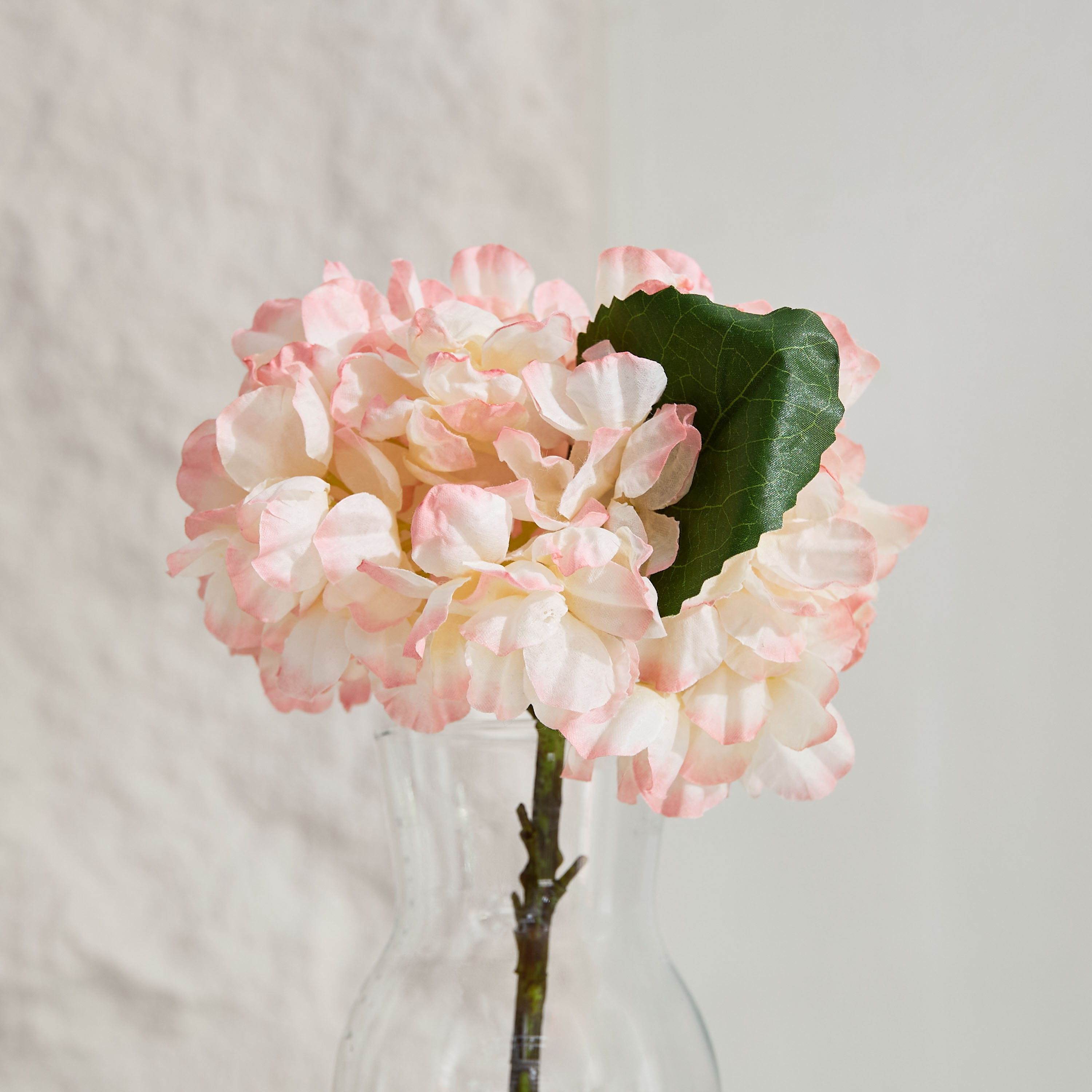 جذع زهرة هيدرانجيا مجففة من ليارا - 35 سم-hbxdecorandfurnishings-homeaccessories-artificialflowersandplants-image-2