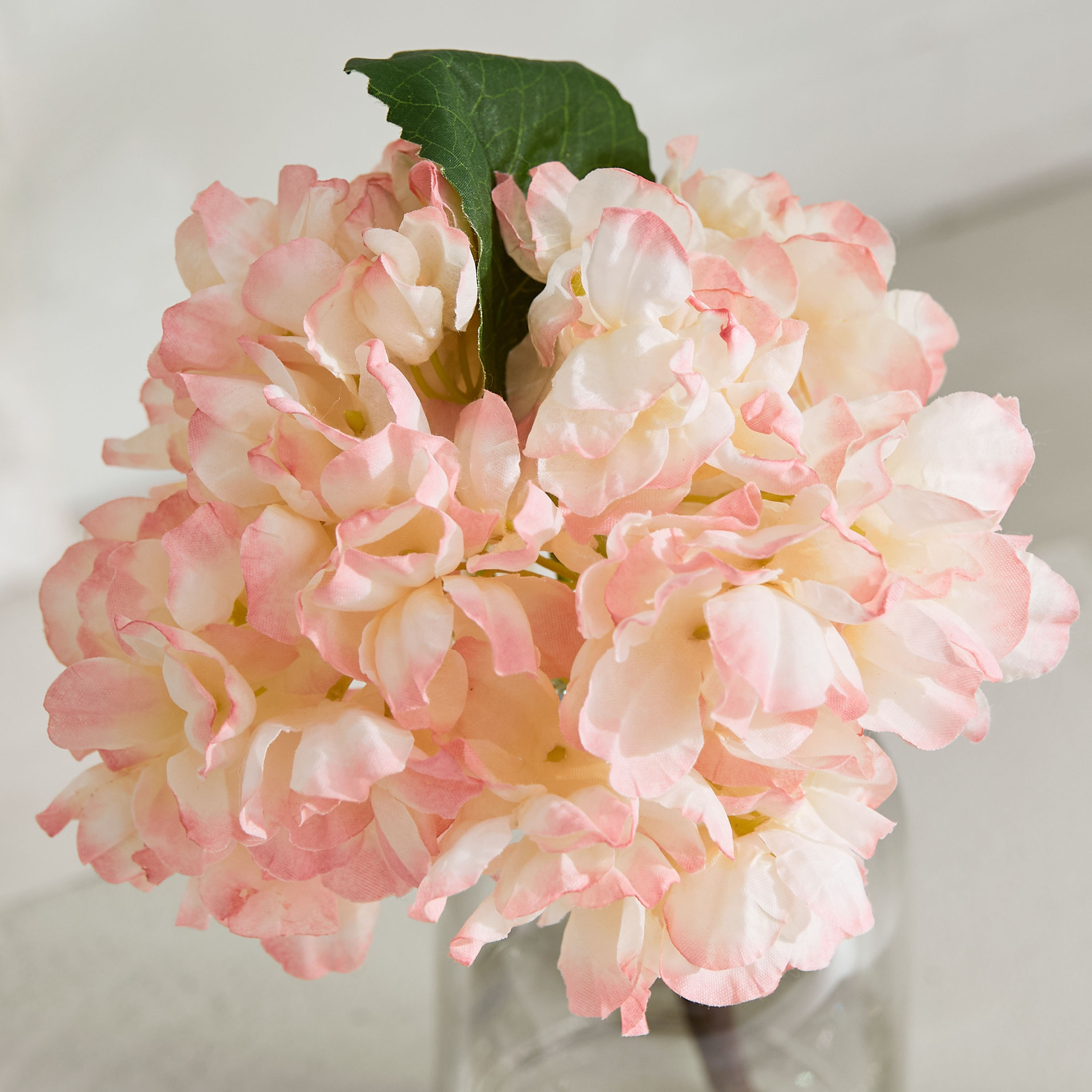 جذع زهرة هيدرانجيا مجففة من ليارا - 35 سم-hbxdecorandfurnishings-homeaccessories-artificialflowersandplants-image-3