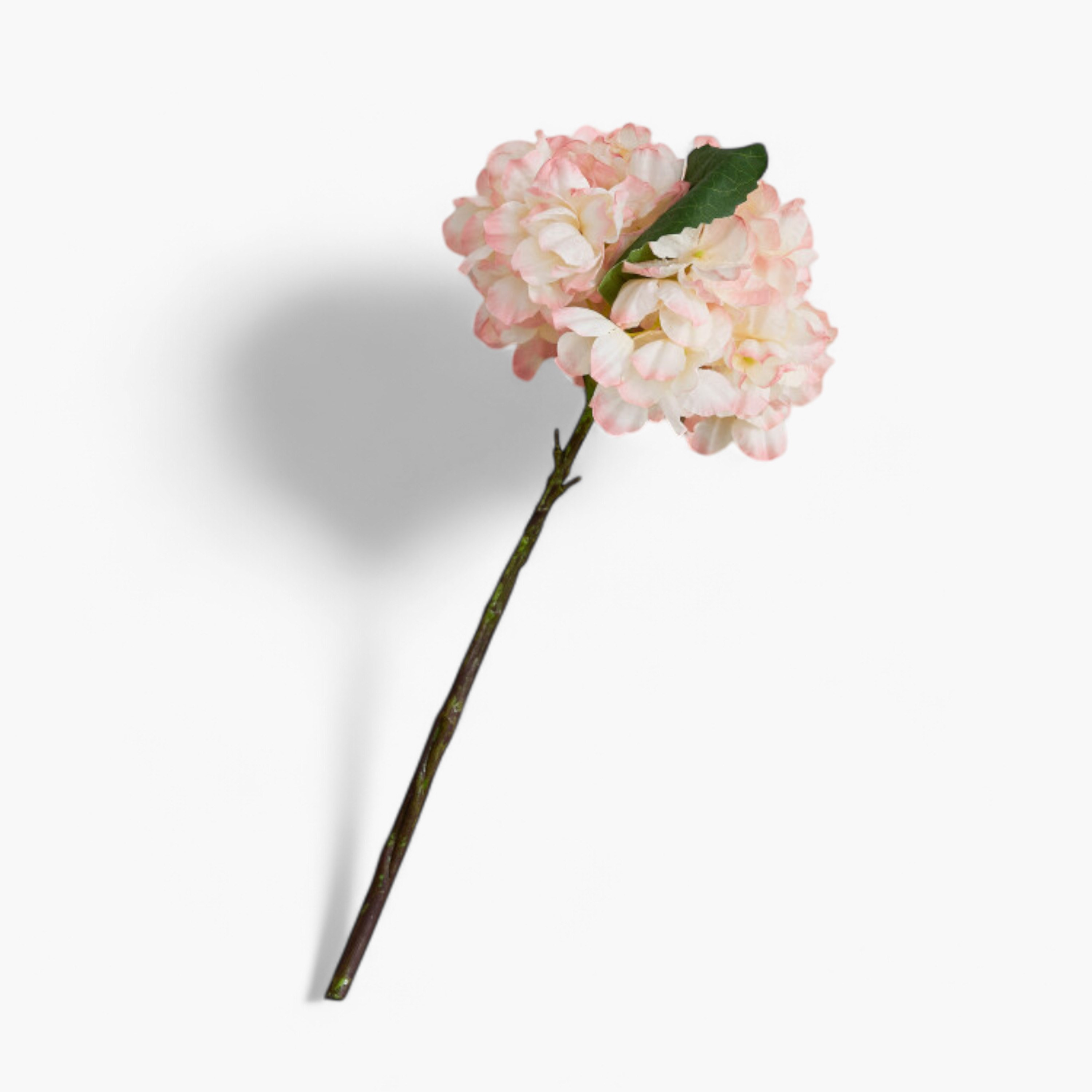 جذع زهرة هيدرانجيا مجففة من ليارا - 35 سم-hbxdecorandfurnishings-homeaccessories-artificialflowersandplants-image-5