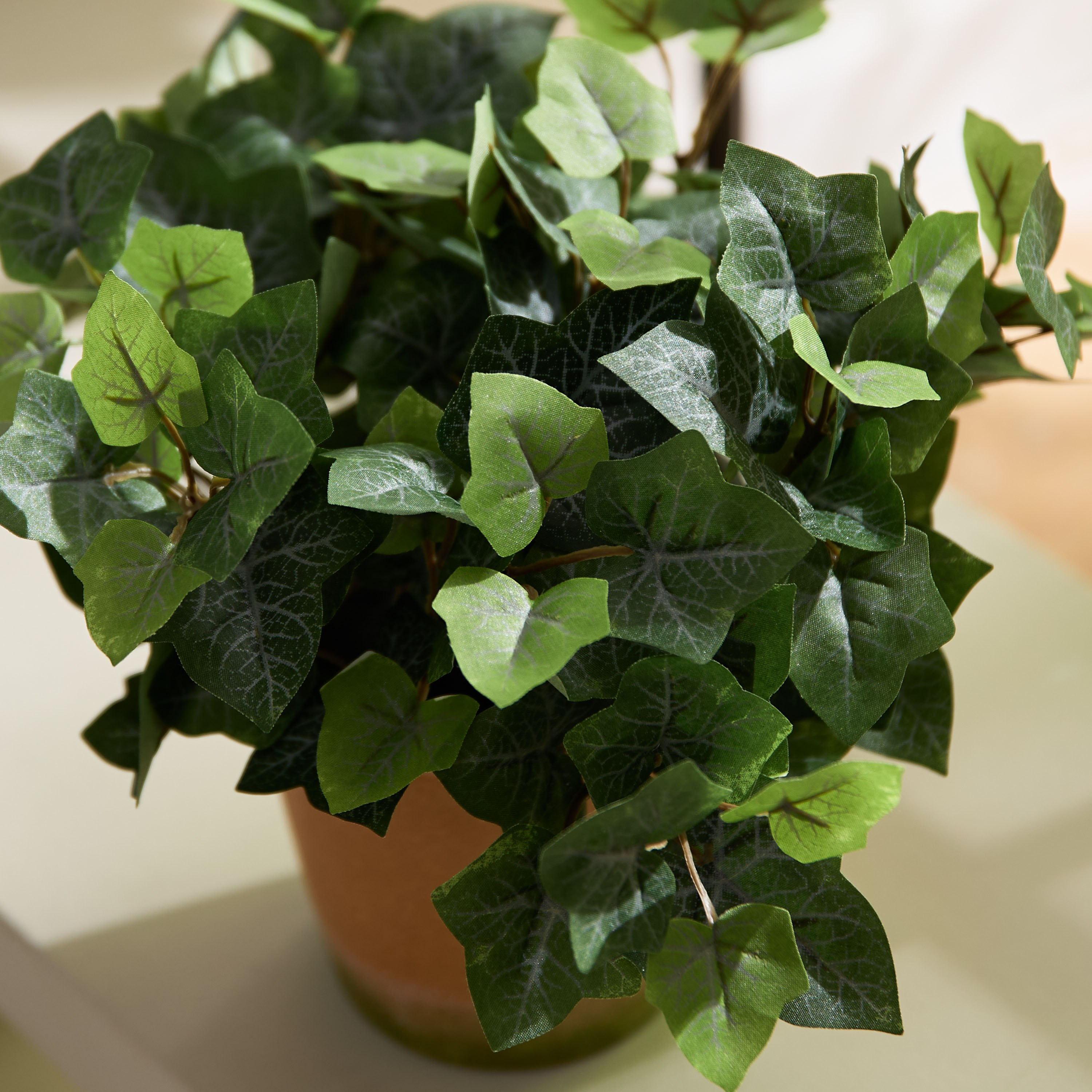 Liara Ivy Leaves Potted Plant - 28 cm-PROMO_HB_AE_B1G1_250925-image-2