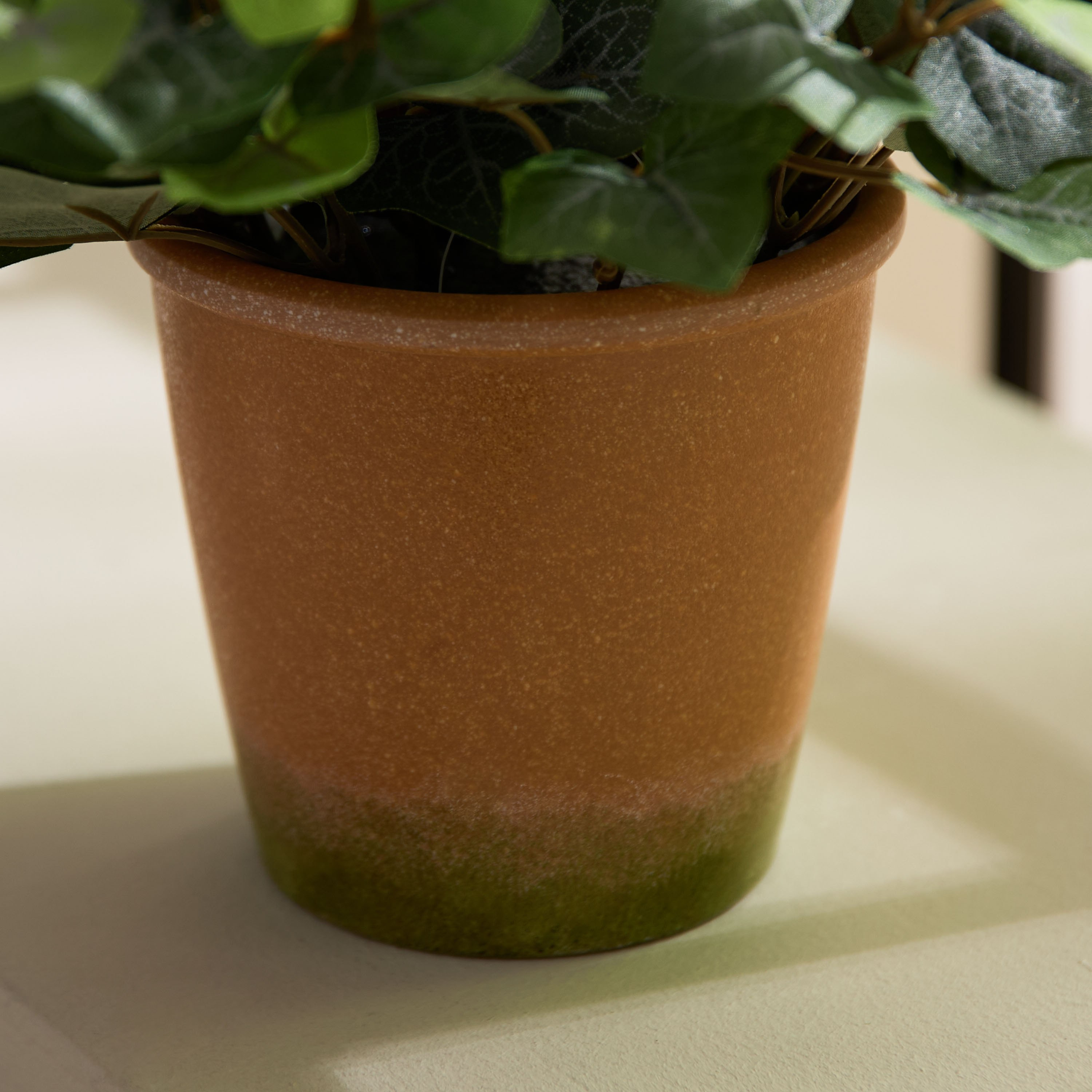 Liara Ivy Leaves Potted Plant - 28 cm-PROMO_HB_AE_B1G1_250925-image-3
