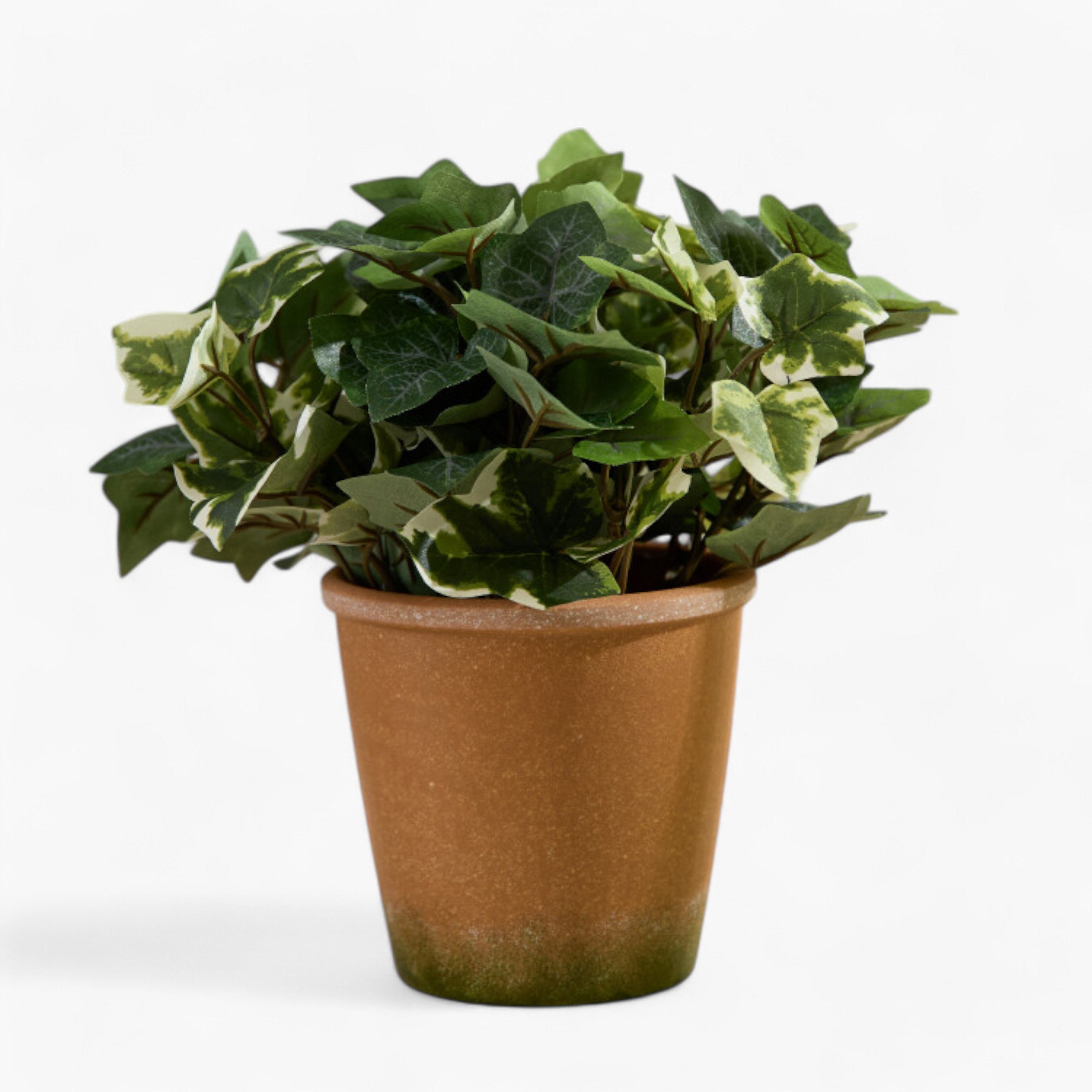 Liara Ivy Leaves Potted Plant - 28 cm-PROMO_HB_AE_B1G1_250925-image-5