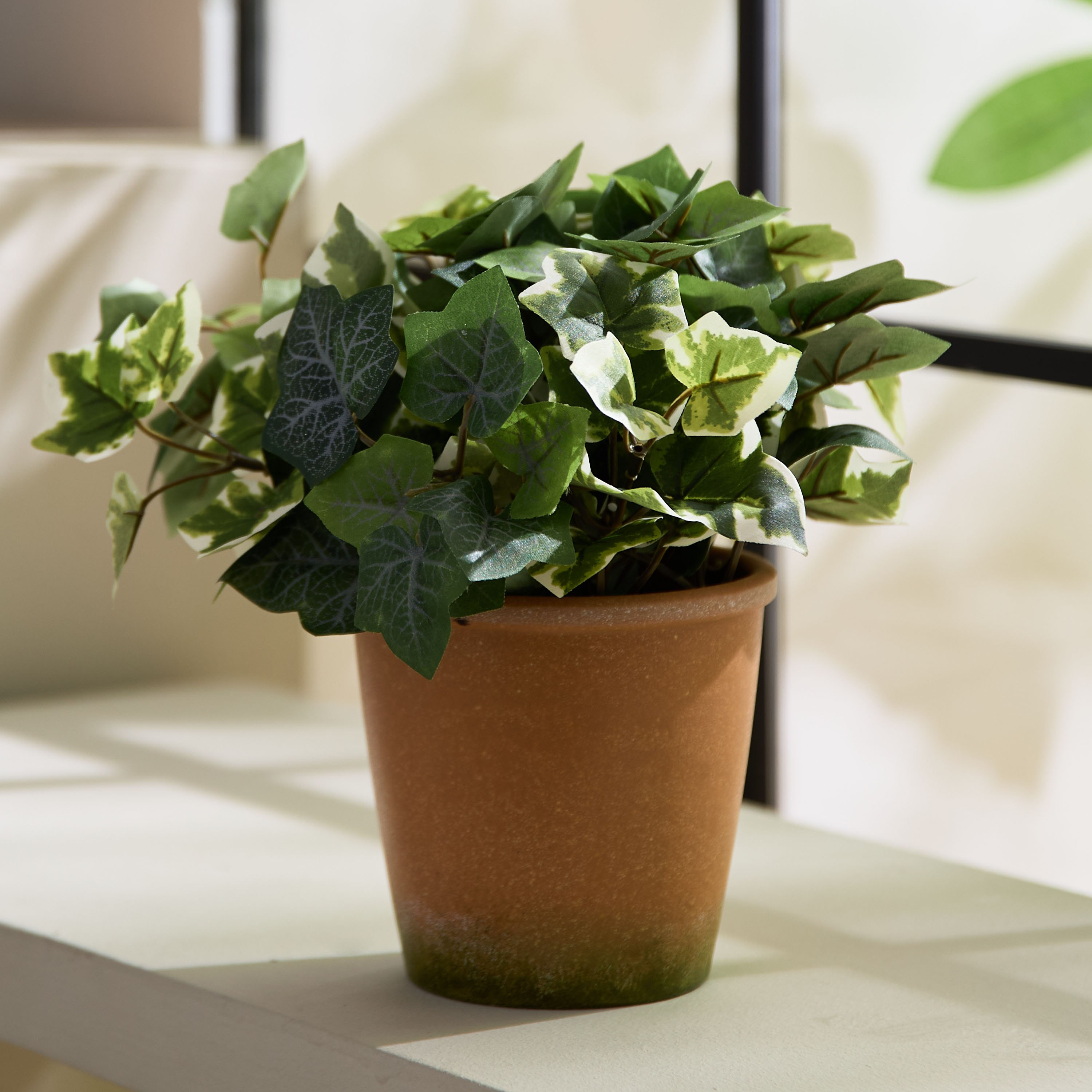 Liara Ivy Leaves Potted Plant in Pot - 28 cm-PROMO_HB_AE_B1G1_250925-image-1