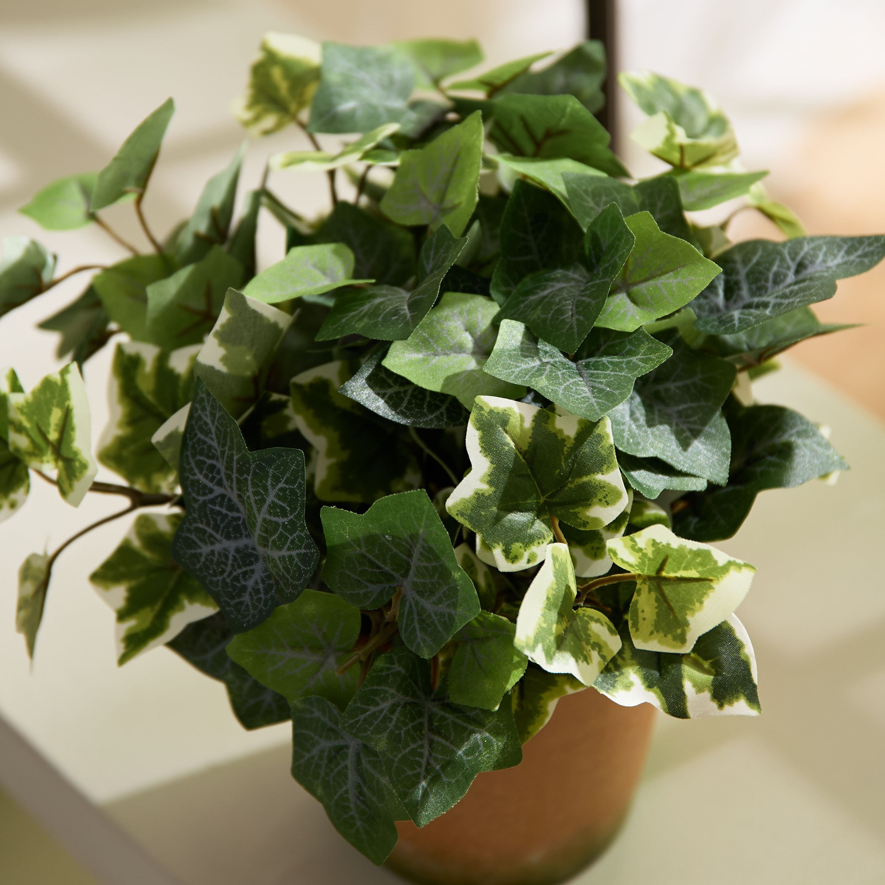 Liara Ivy Leaves Potted Plant in Pot - 28 cm-PROMO_HB_AE_B1G1_250925-image-2