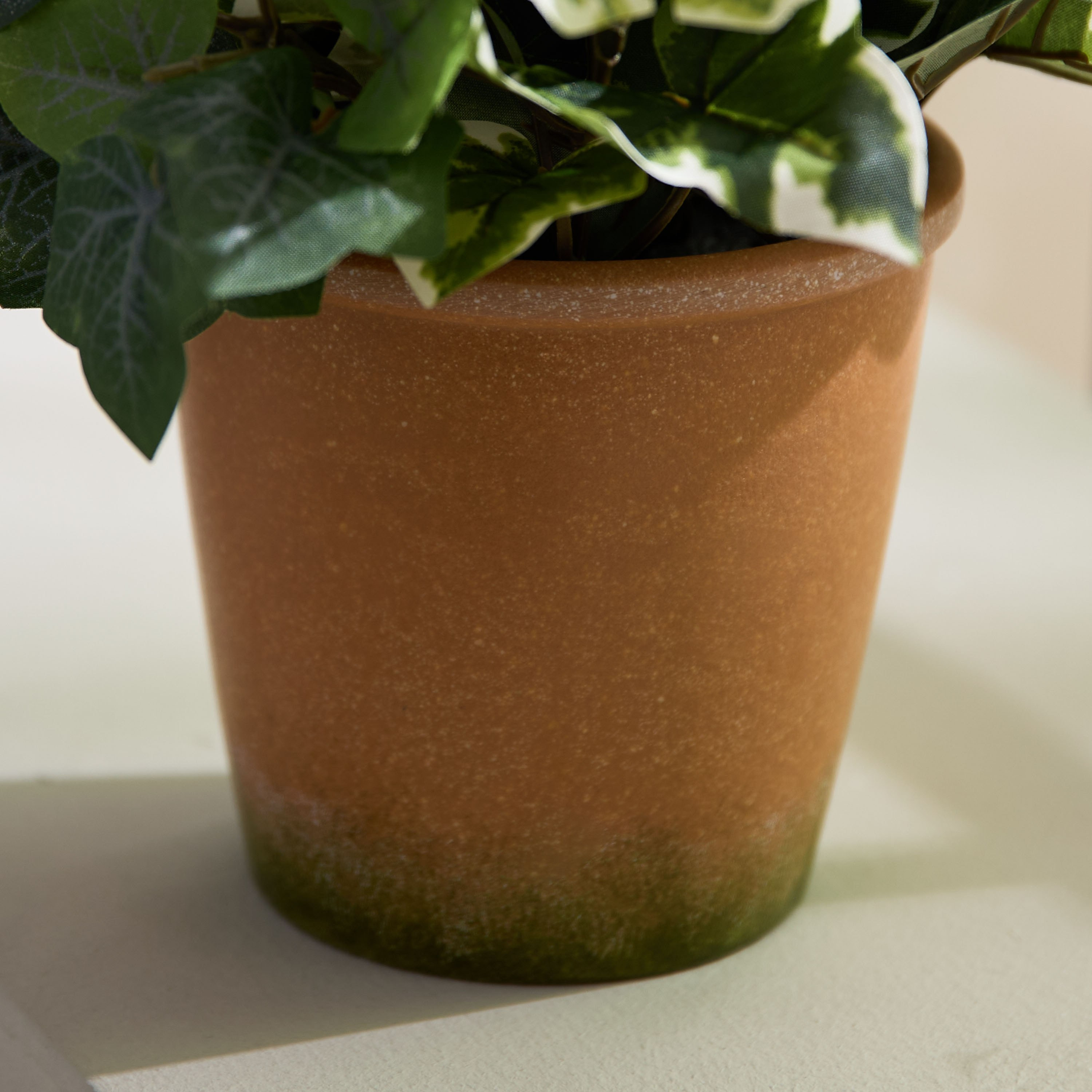 Liara Ivy Leaves Potted Plant in Pot - 28 cm-PROMO_HB_AE_B1G1_250925-image-3