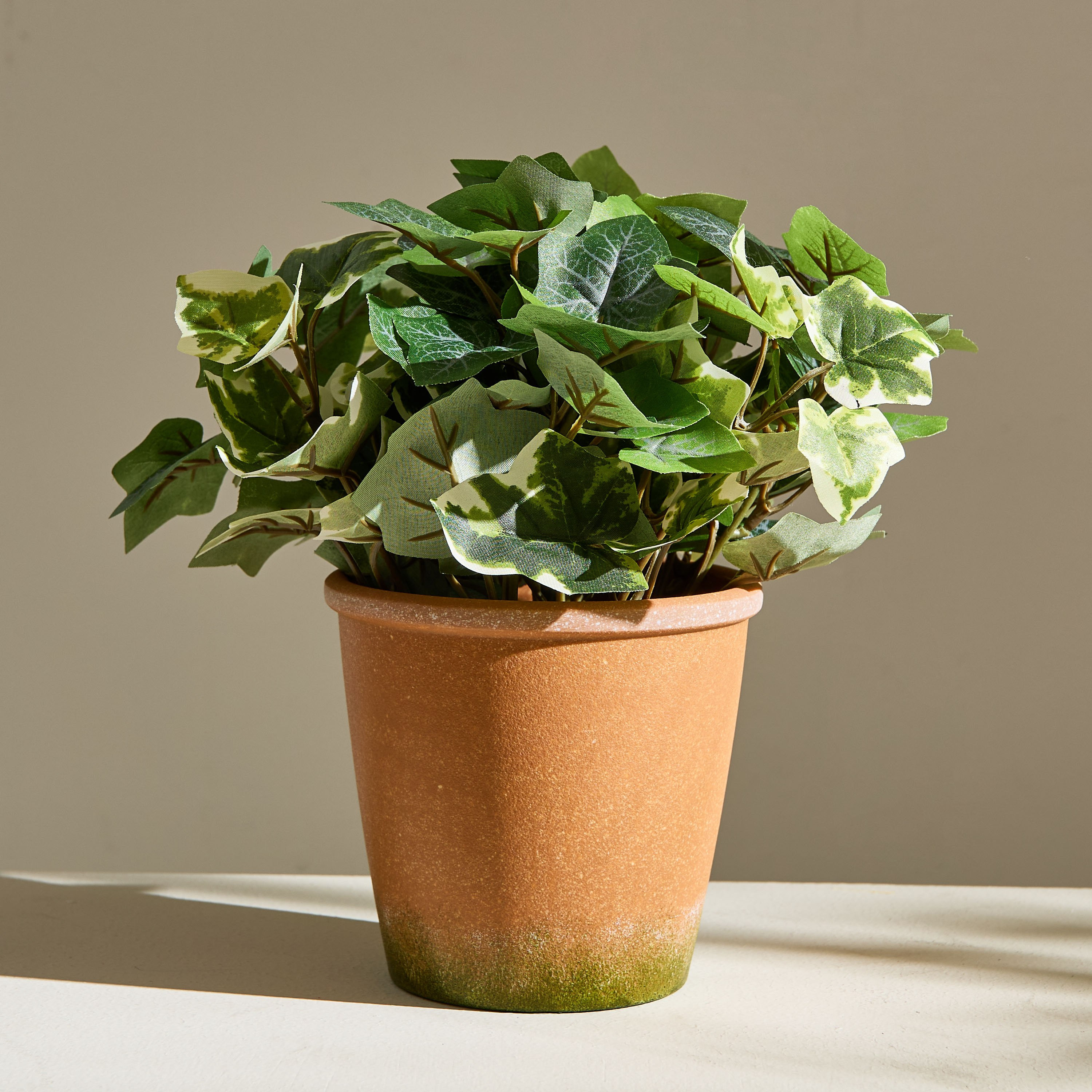 Liara Ivy Leaves Potted Plant in Pot - 28 cm-PROMO_HB_AE_B1G1_250925-image-4