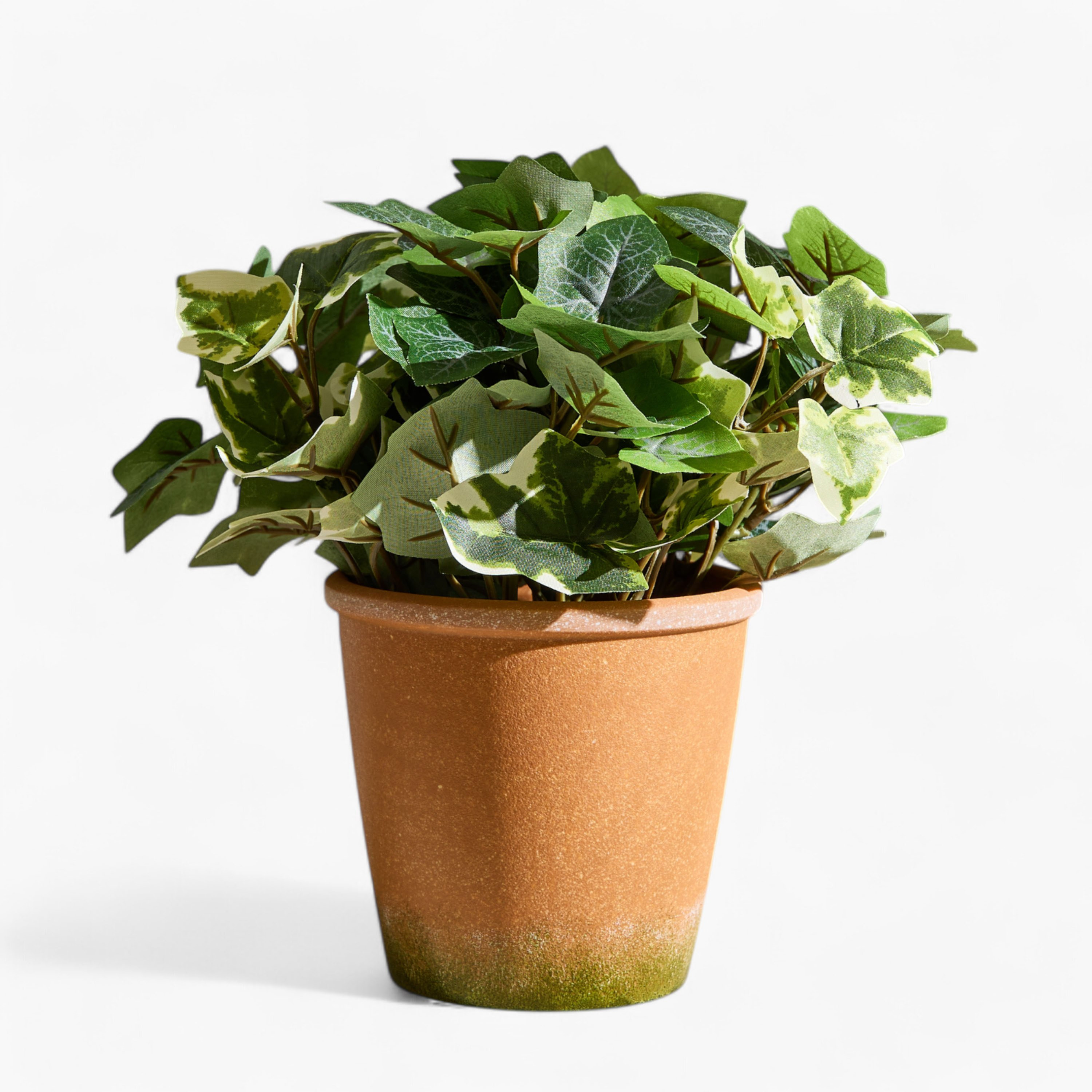 Liara Ivy Leaves Potted Plant in Pot - 28 cm-PROMO_HB_AE_B1G1_250925-image-6