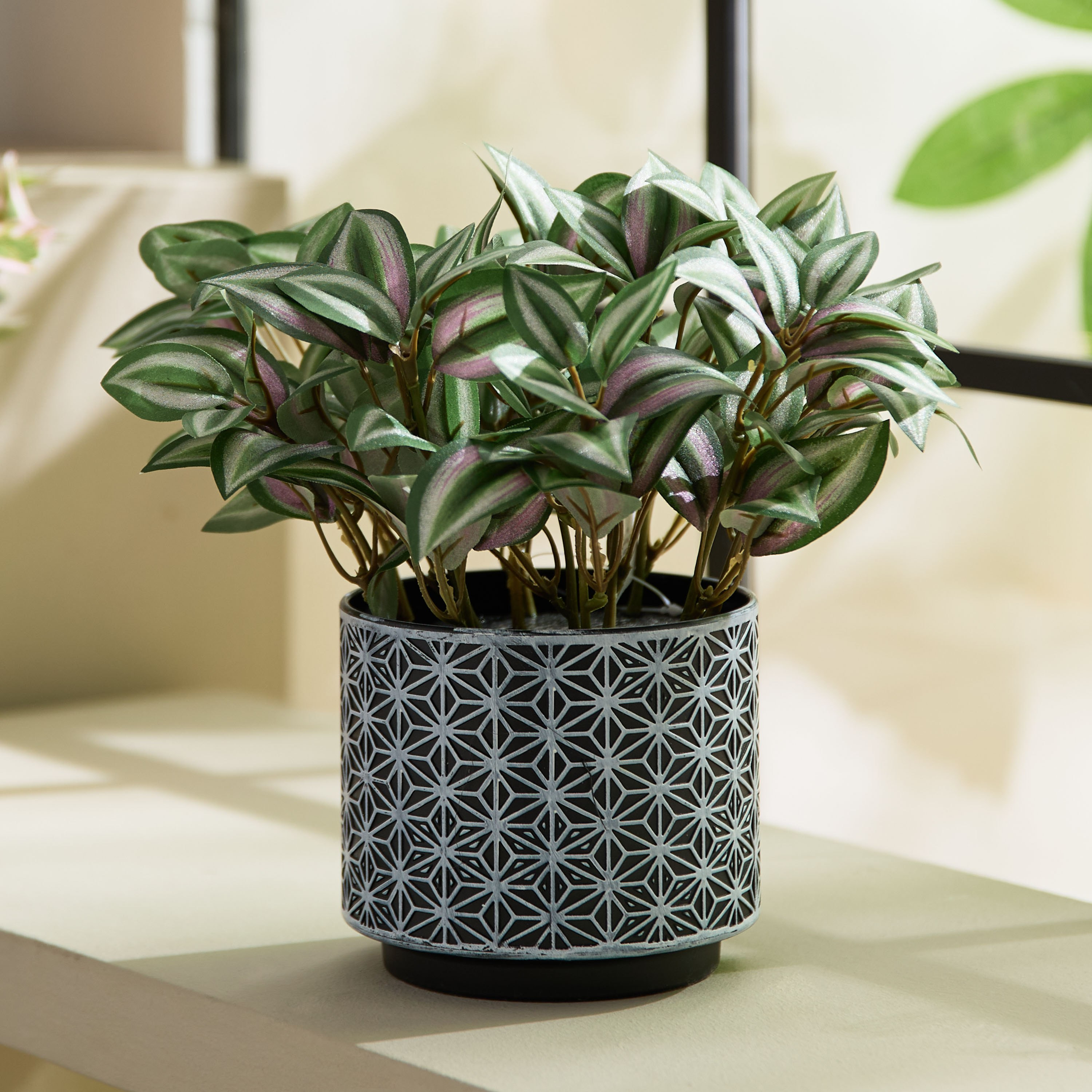 نبات أوراق الدراسينا بإناء بلاستيك من ليارا - 26 سم-hbxhomeware-hbxdecorandfurnishings-image-1