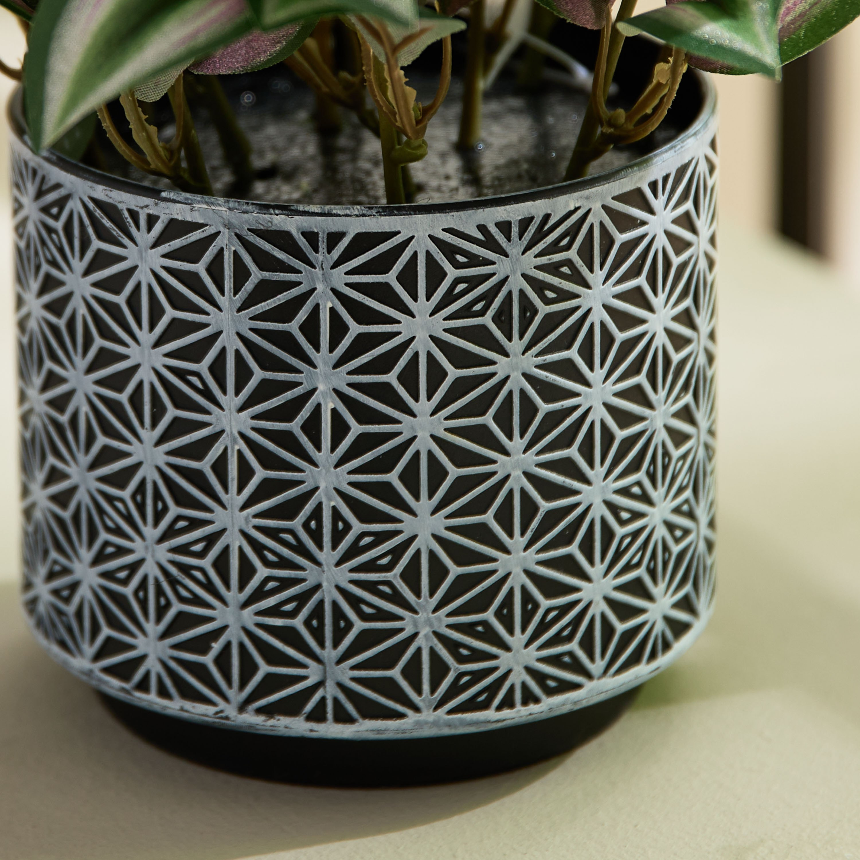 نبات أوراق الدراسينا بإناء بلاستيك من ليارا - 26 سم-hbxhomeware-hbxdecorandfurnishings-image-3