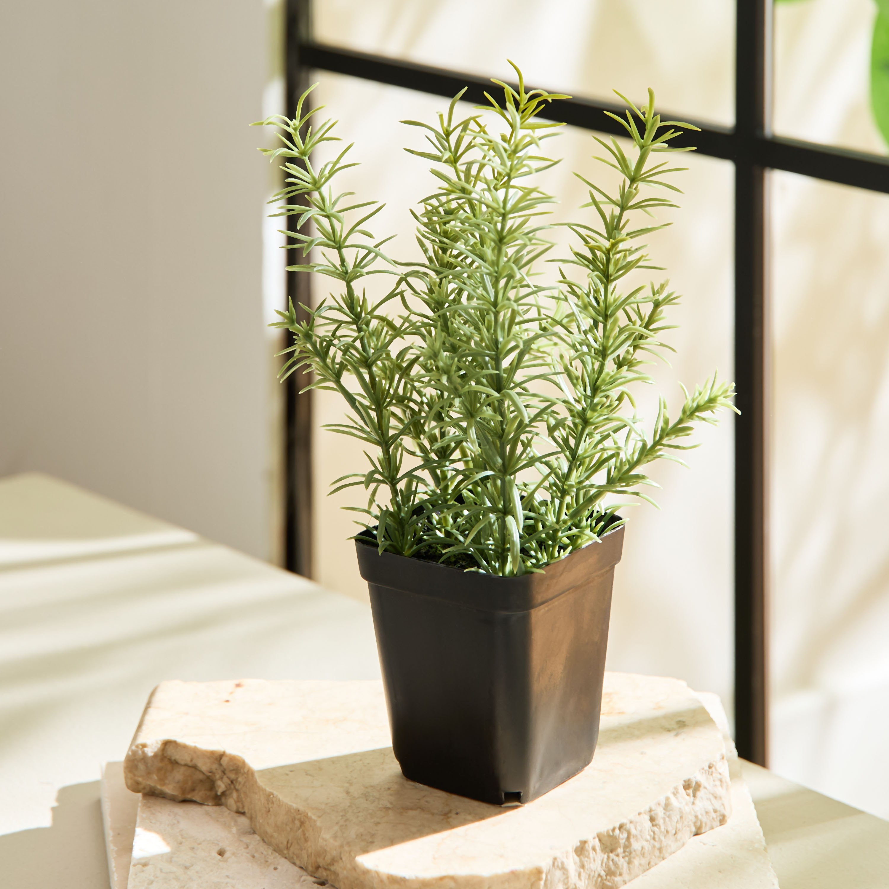 نبات إكليل الجبل في إناء زرع من ليارا - 80 سم-hbxhomeware-hbxdecorandfurnishings-image-1