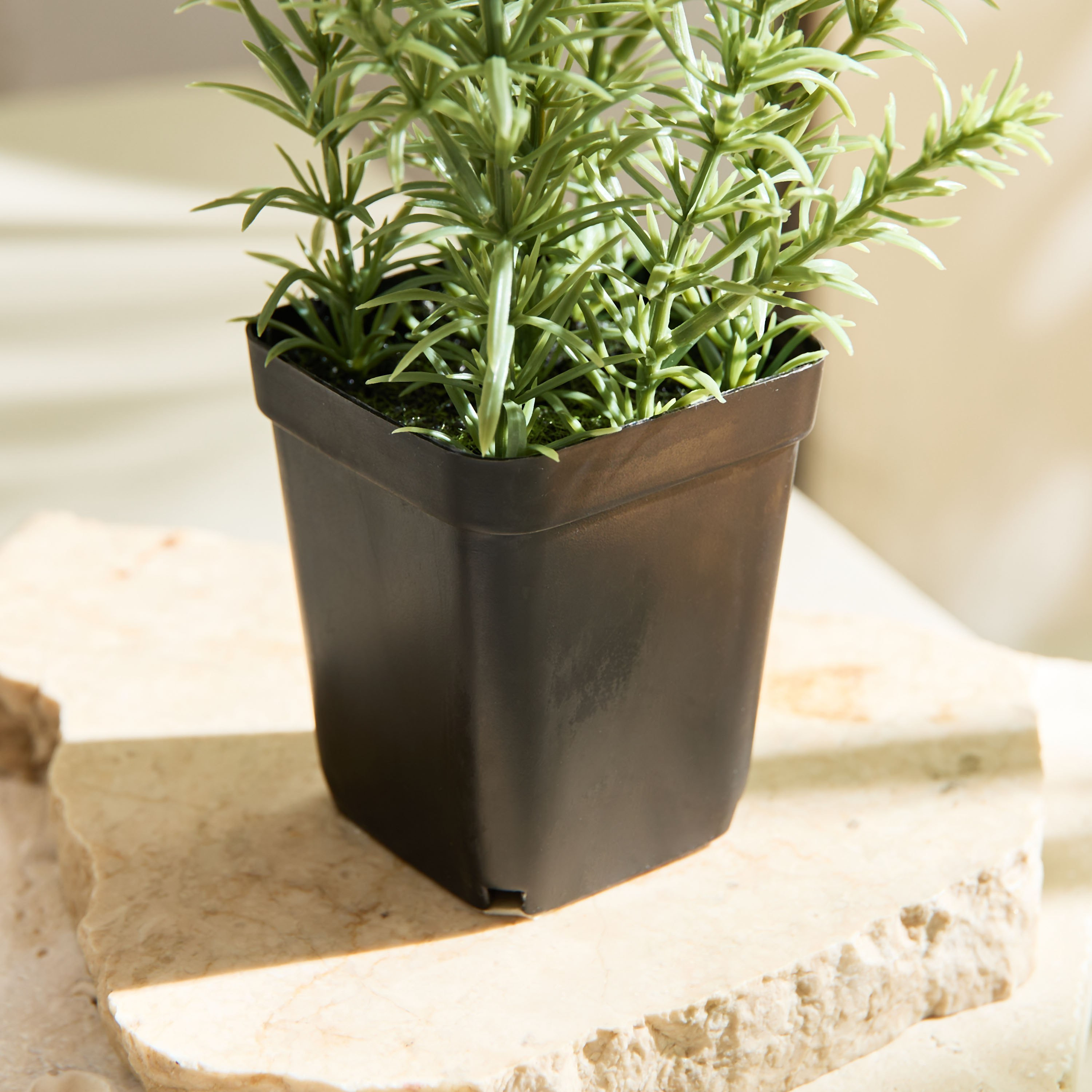 نبات إكليل الجبل في إناء زرع من ليارا - 80 سم-hbxhomeware-hbxdecorandfurnishings-image-3