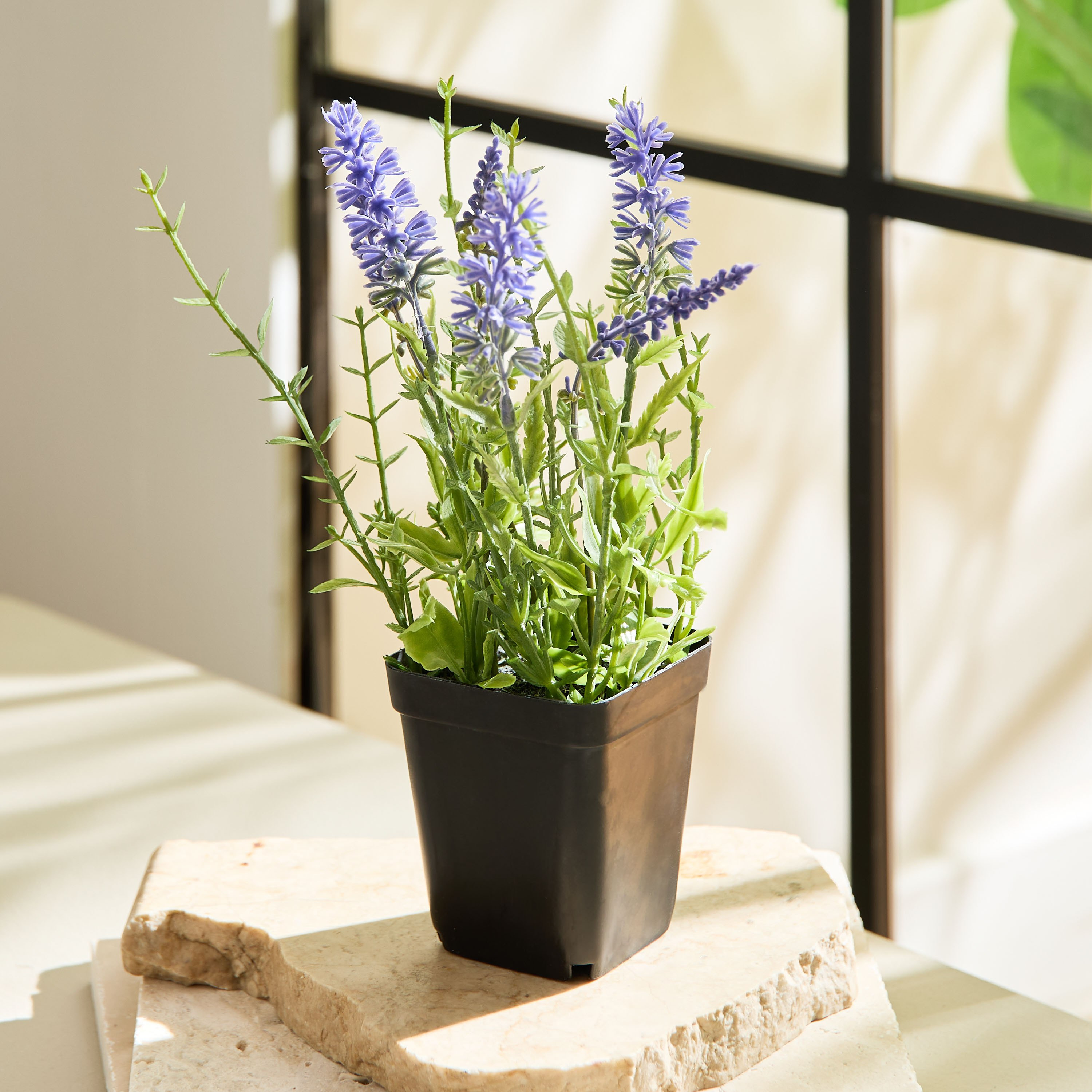 Liara Lavender Potted Plant in a Pot - 21 cm-hbxhomeware-hbxdecorandfurnishings-image-1