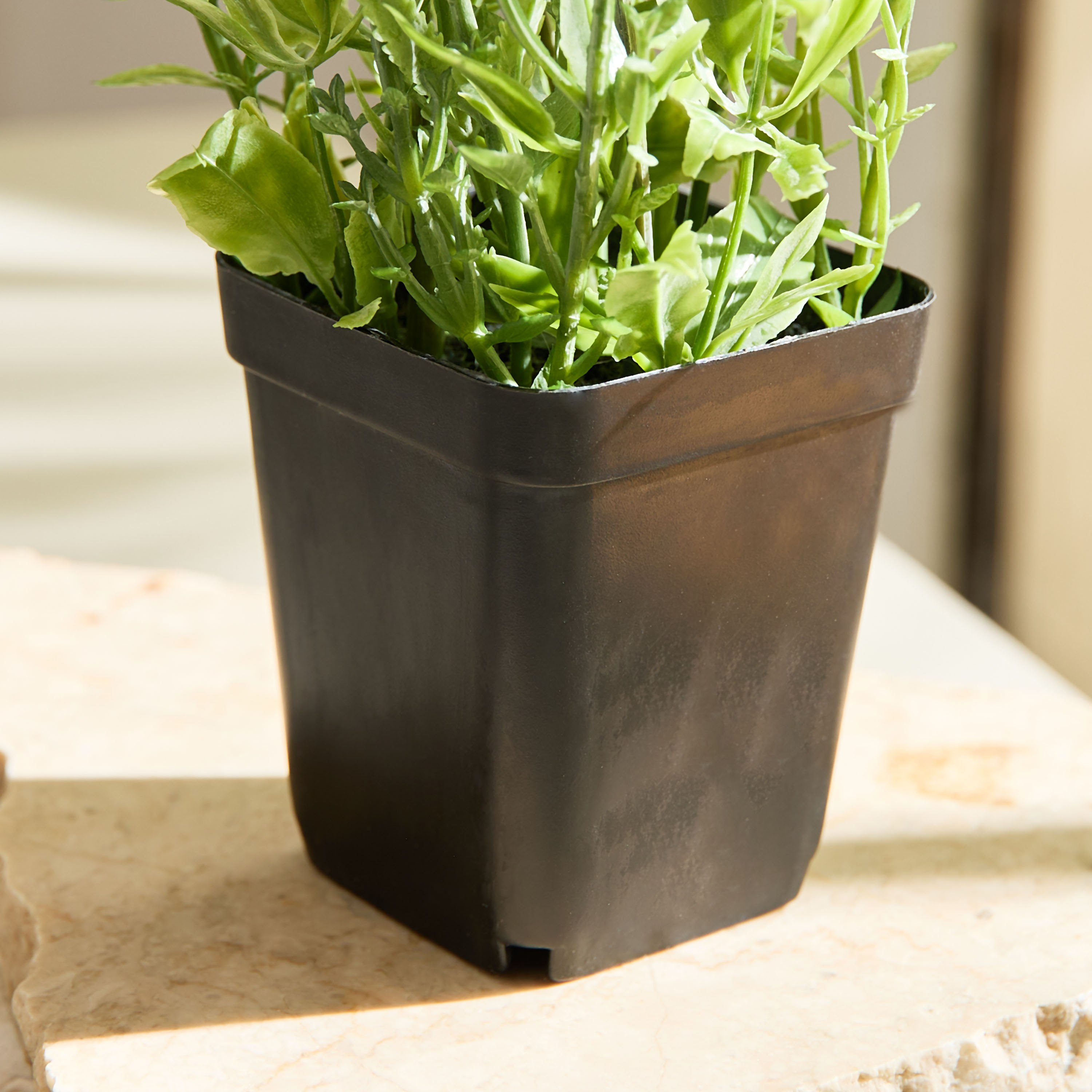 Liara Lavender Potted Plant in a Pot - 21 cm-hbxhomeware-hbxdecorandfurnishings-image-3