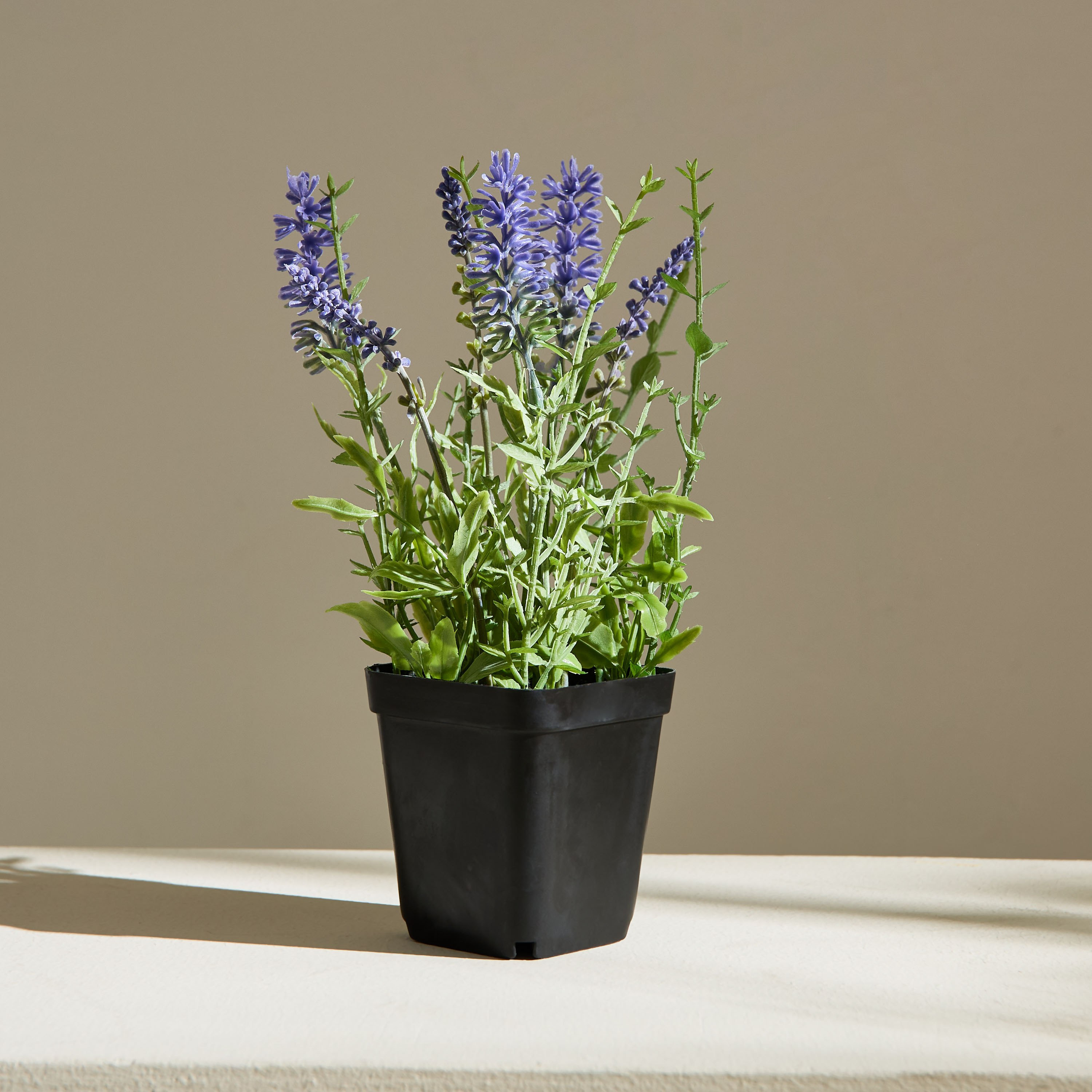 Liara Lavender Potted Plant in a Pot - 21 cm-hbxhomeware-hbxdecorandfurnishings-image-4