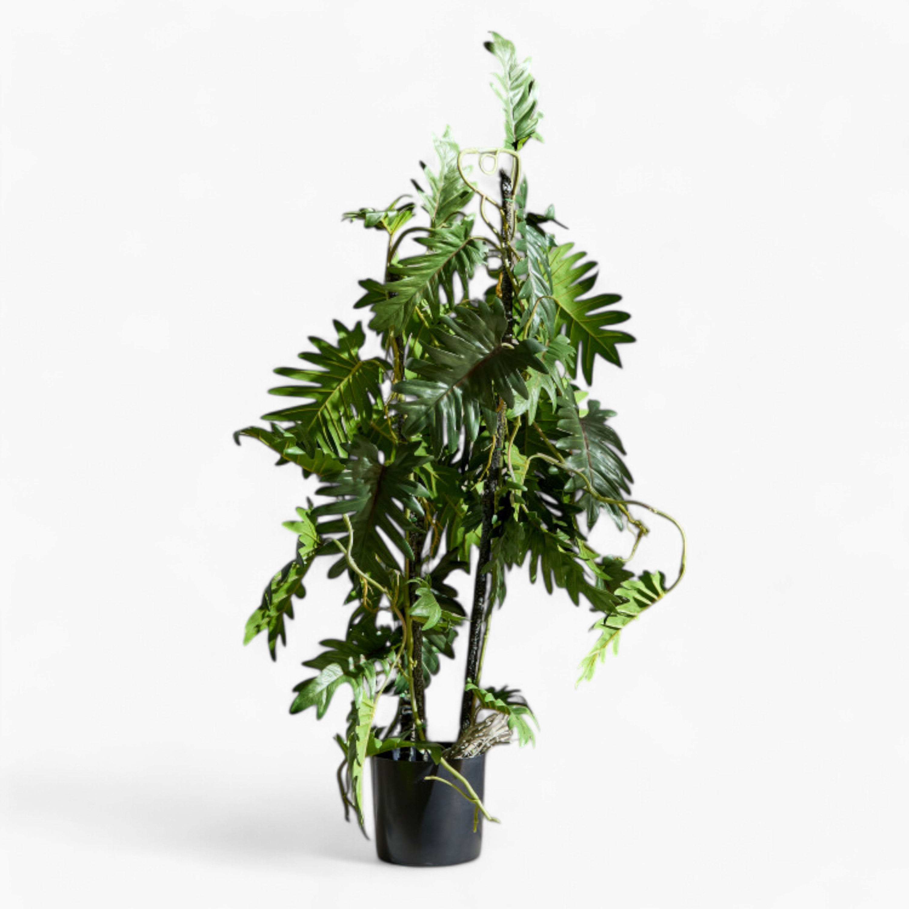 Liara Tropical Leaves Potted Plant in a Pot - 80 cm-hbxhomeware-hbxdecorandfurnishings-image-5
