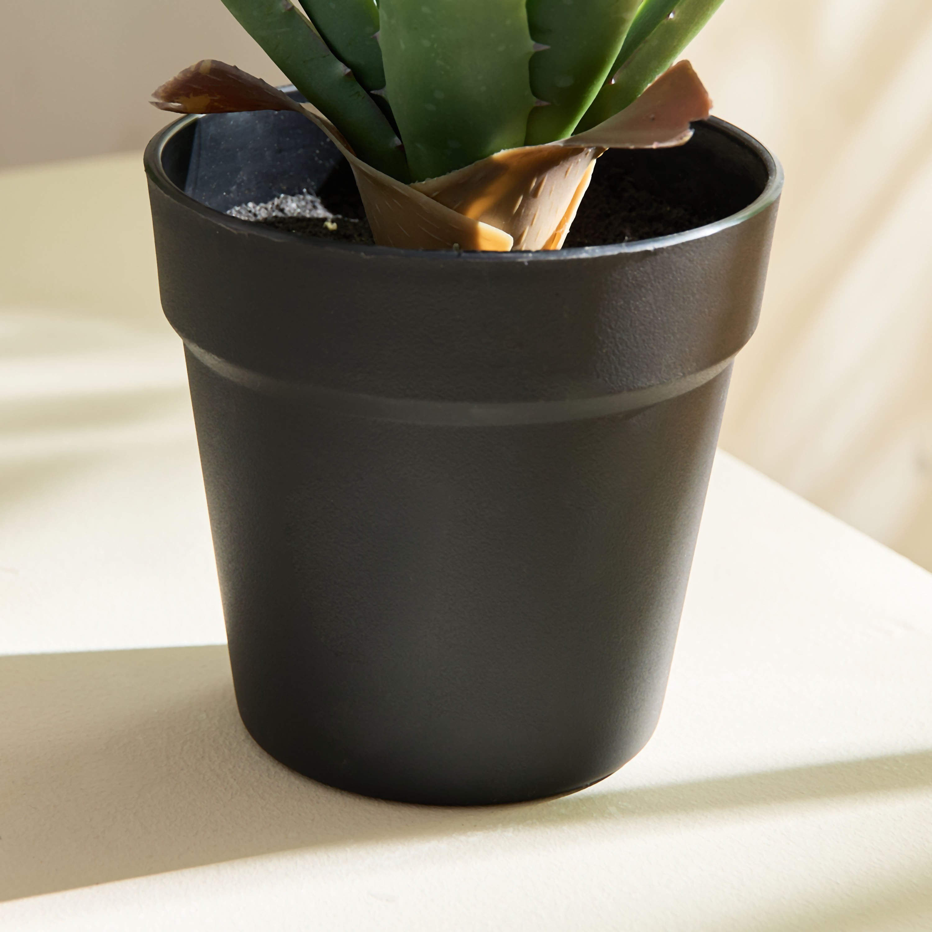 Liara Aloe Vera Potted Plant in Pot - 35 cm-hbxhomeware-hbxdecorandfurnishings-image-3