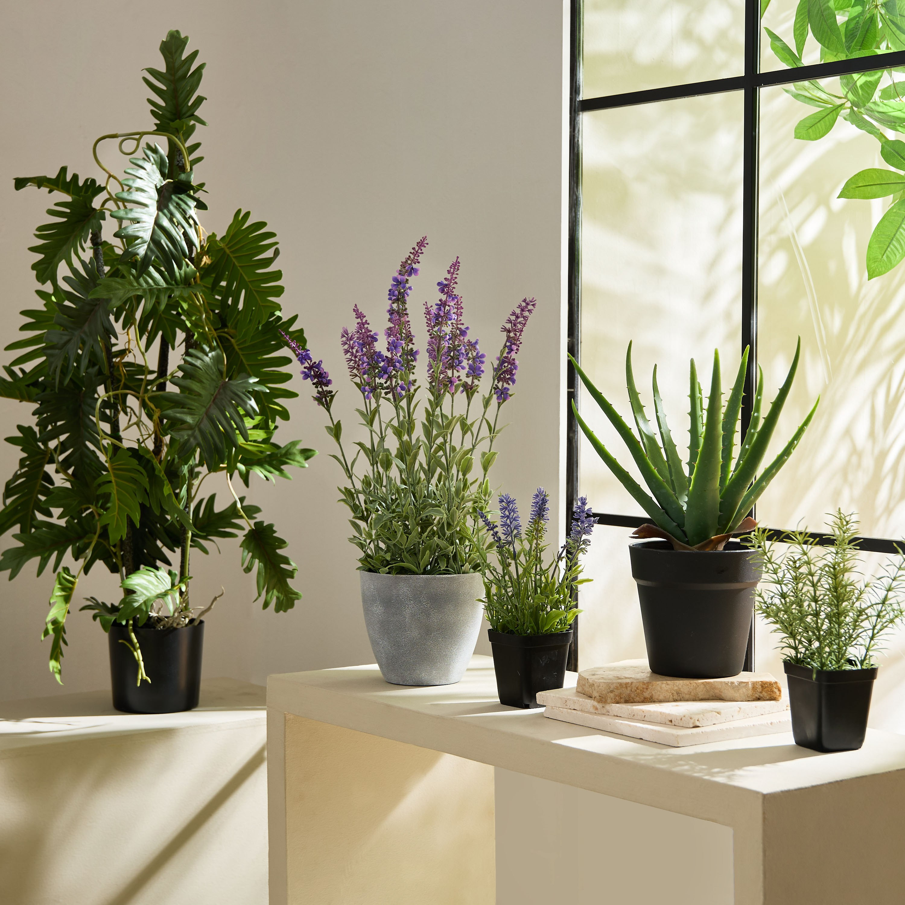 Liara Aloe Vera Potted Plant in Pot - 35 cm-hbxhomeware-hbxdecorandfurnishings-image-4