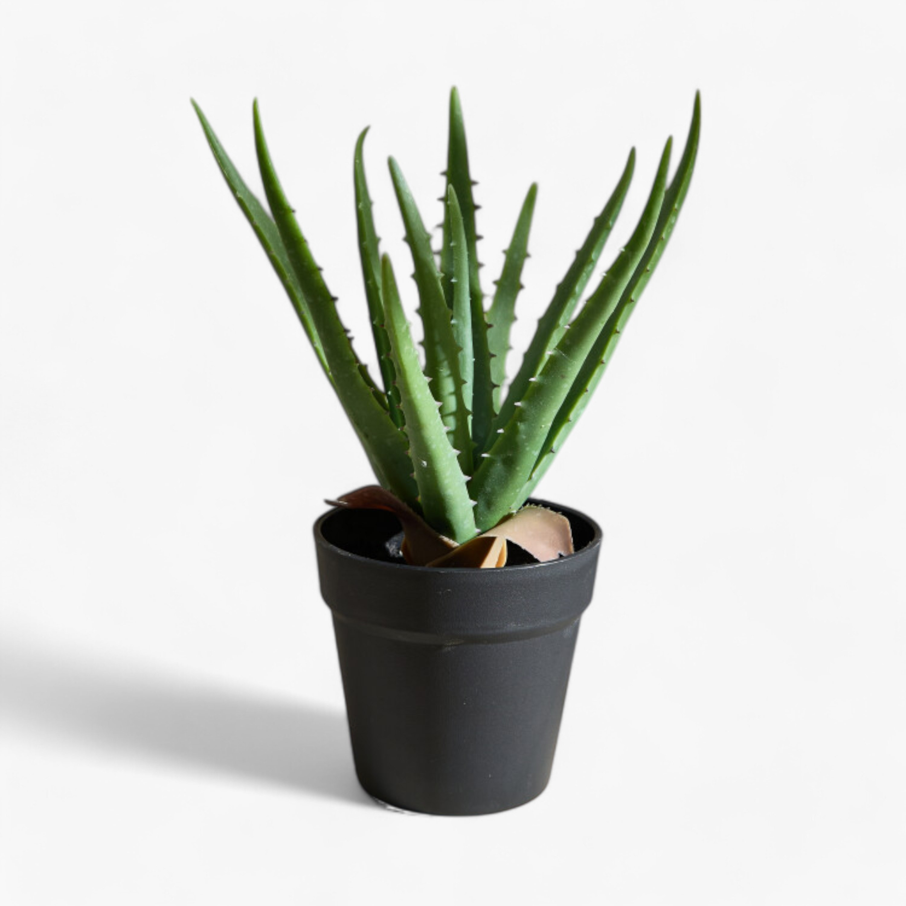 Liara Aloe Vera Potted Plant in Pot - 35 cm-hbxhomeware-hbxdecorandfurnishings-image-5