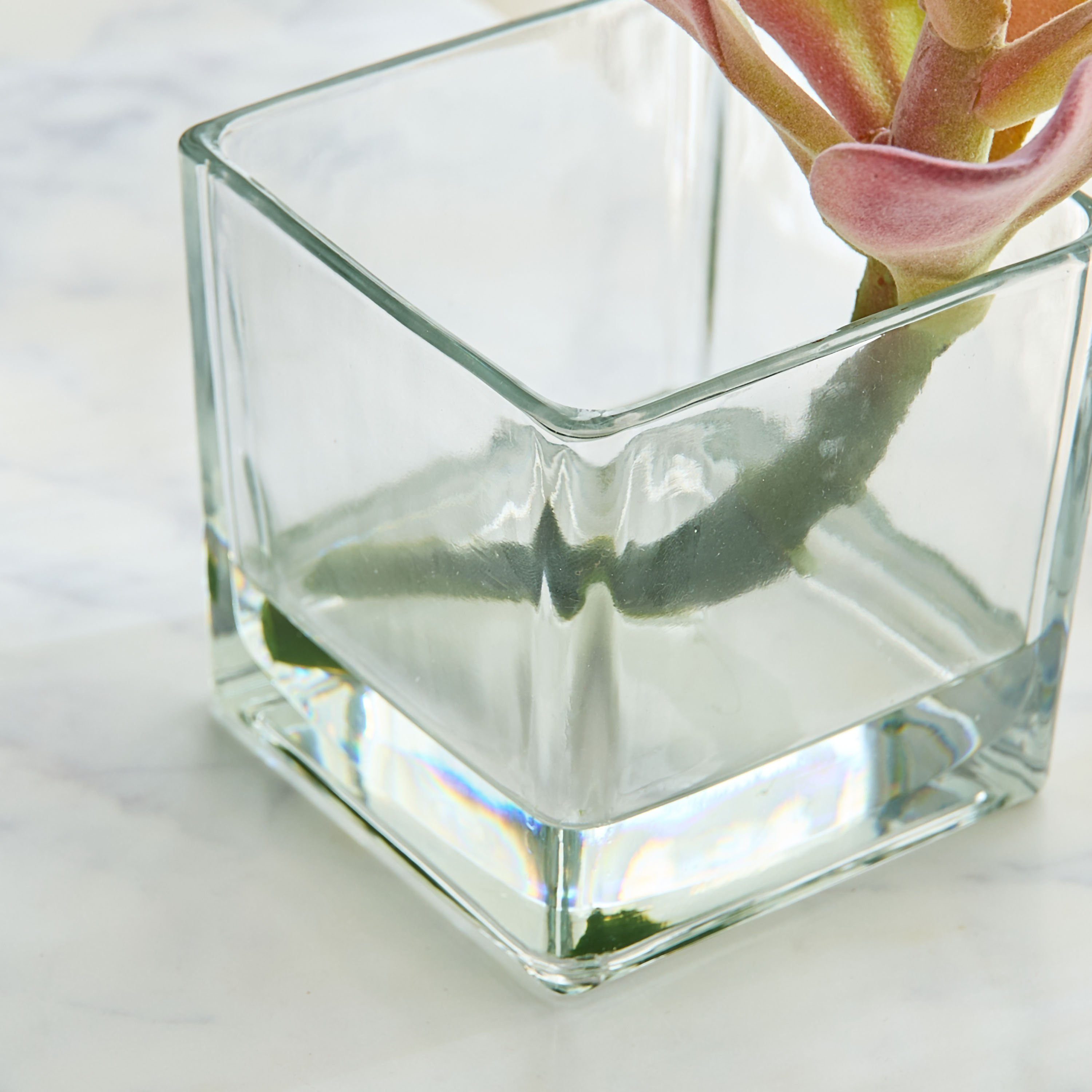 نبتة عصارية في وعاء زجاج من ليارا - 15x15x18 سم-hbxhomeware-hbxdecorandfurnishings-image-3