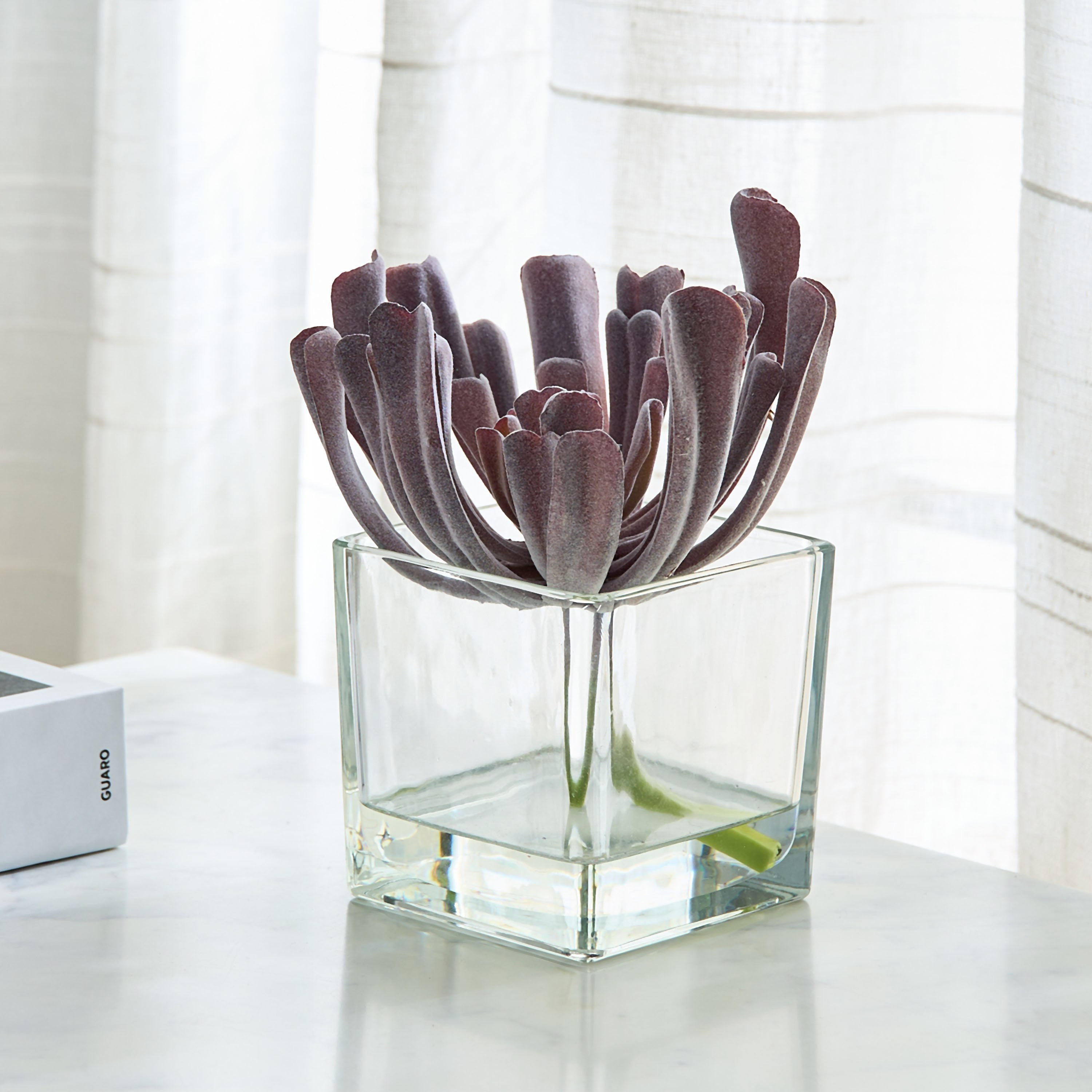 نبتة عصارية في وعاء زجاج من ليارا - 17x17x18  سم-hbxhomeware-hbxdecorandfurnishings-image-1