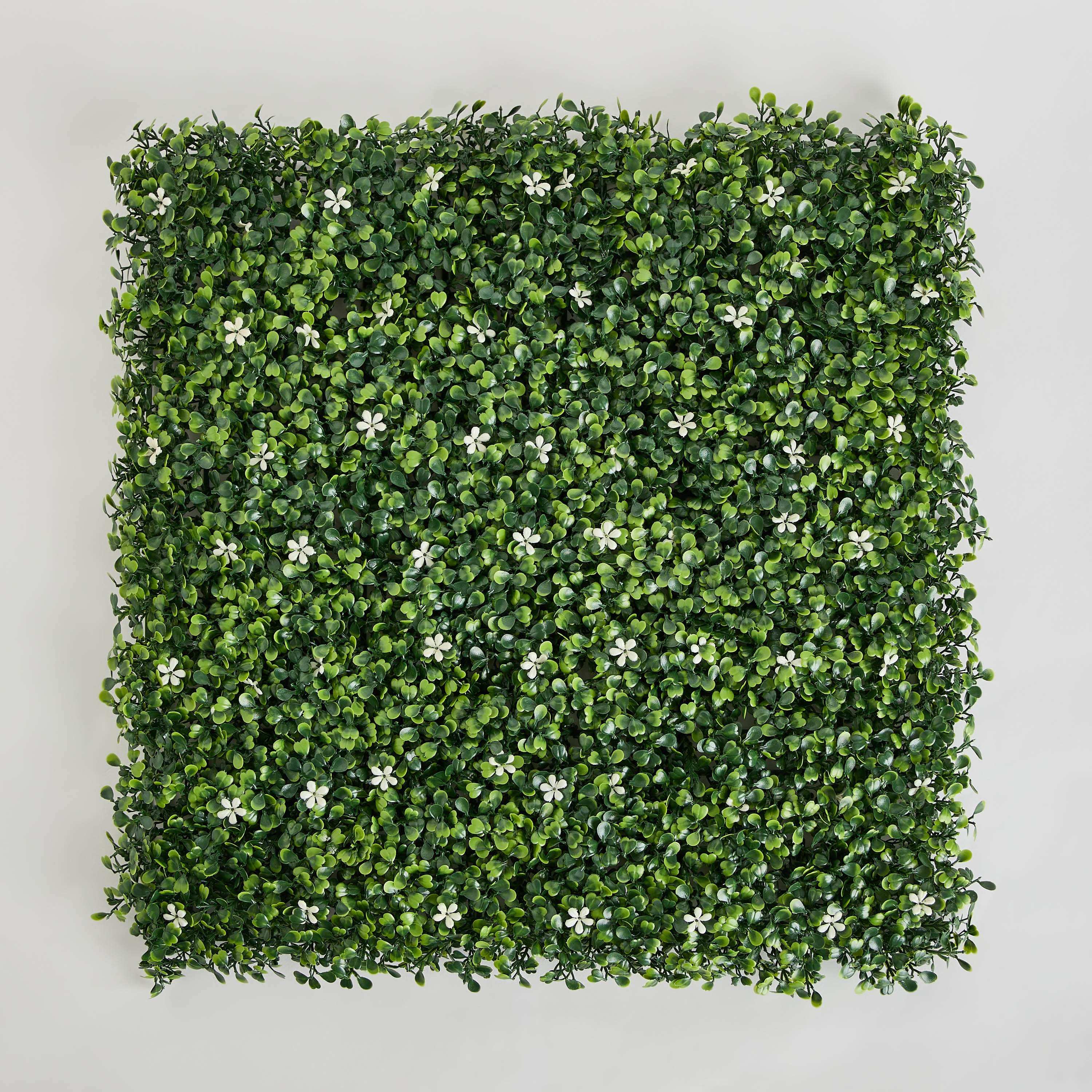 Delsa Artificial Hedge Mats Boxwood Jasmine - 50x50 cm-hbxdecorandfurnishings-homeaccessories-artificialflowersandplants-image-5
