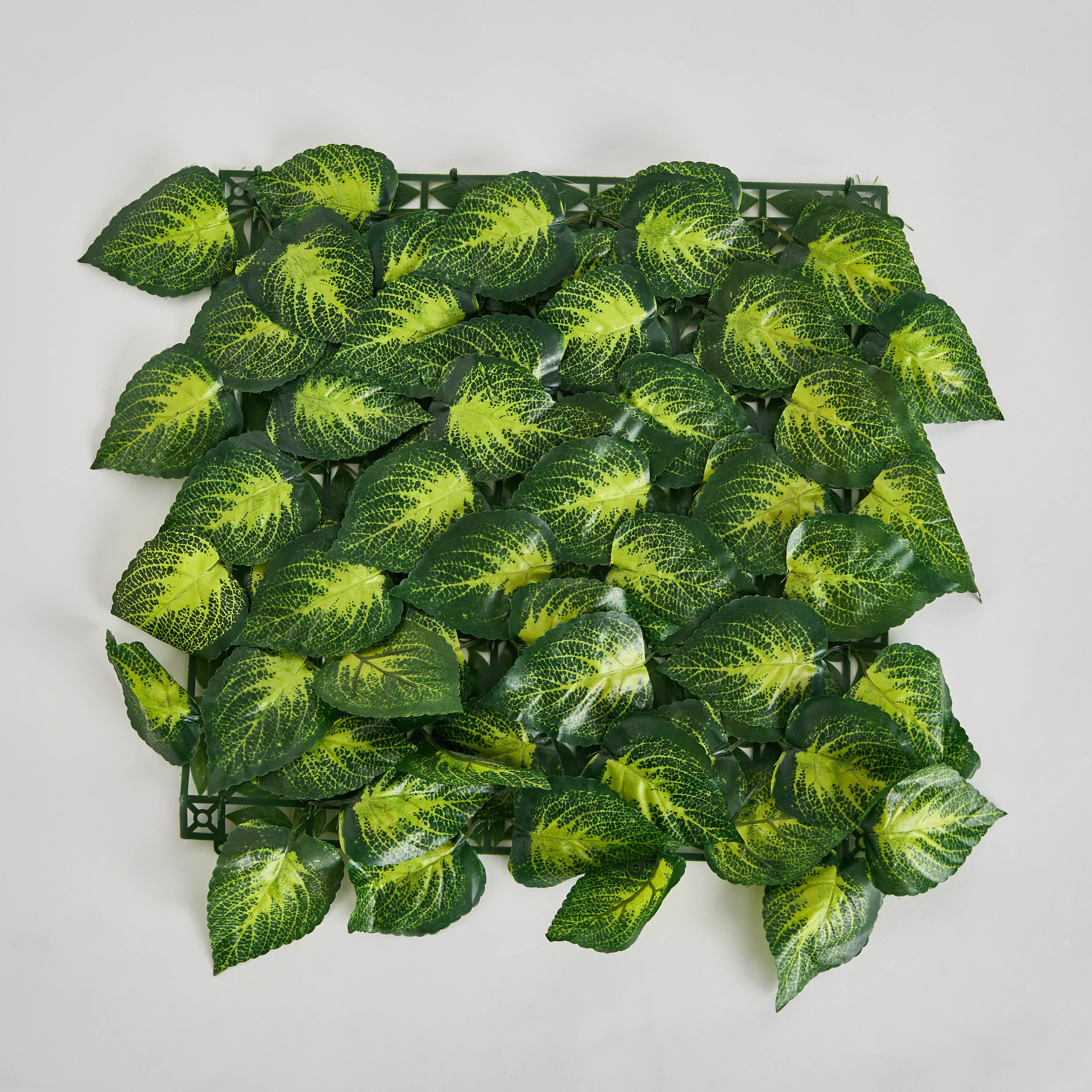 Delsa Artificial Hedge Mats Scindapsus Aureus - 33x33 cm-hbxdecorandfurnishings-homeaccessories-artificialflowersandplants-image-5