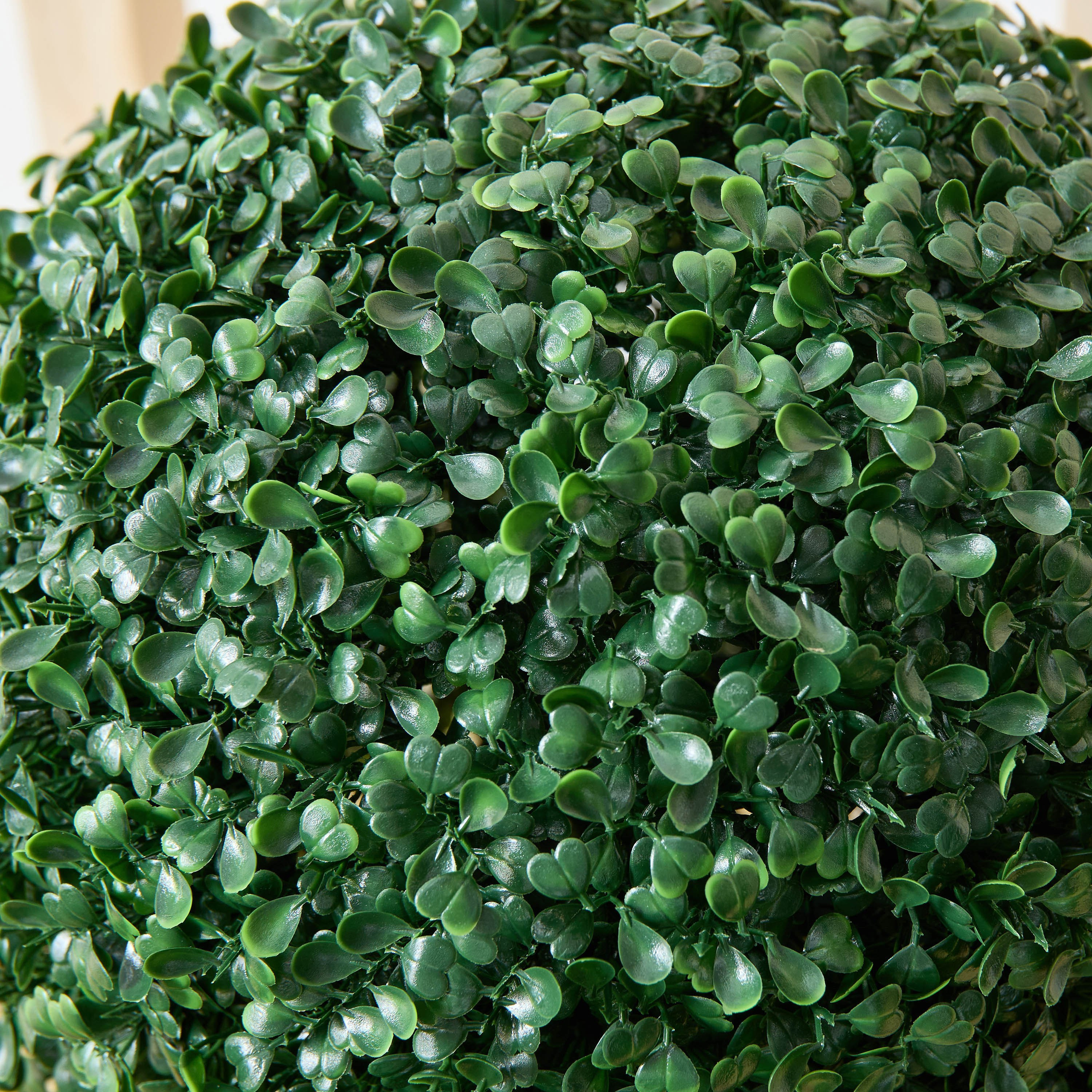 كرة نبات صناعي من خشب البقس من ديلسا - 31 سم-hbxdecorandfurnishings-homeaccessories-artificialflowersandplants-image-3