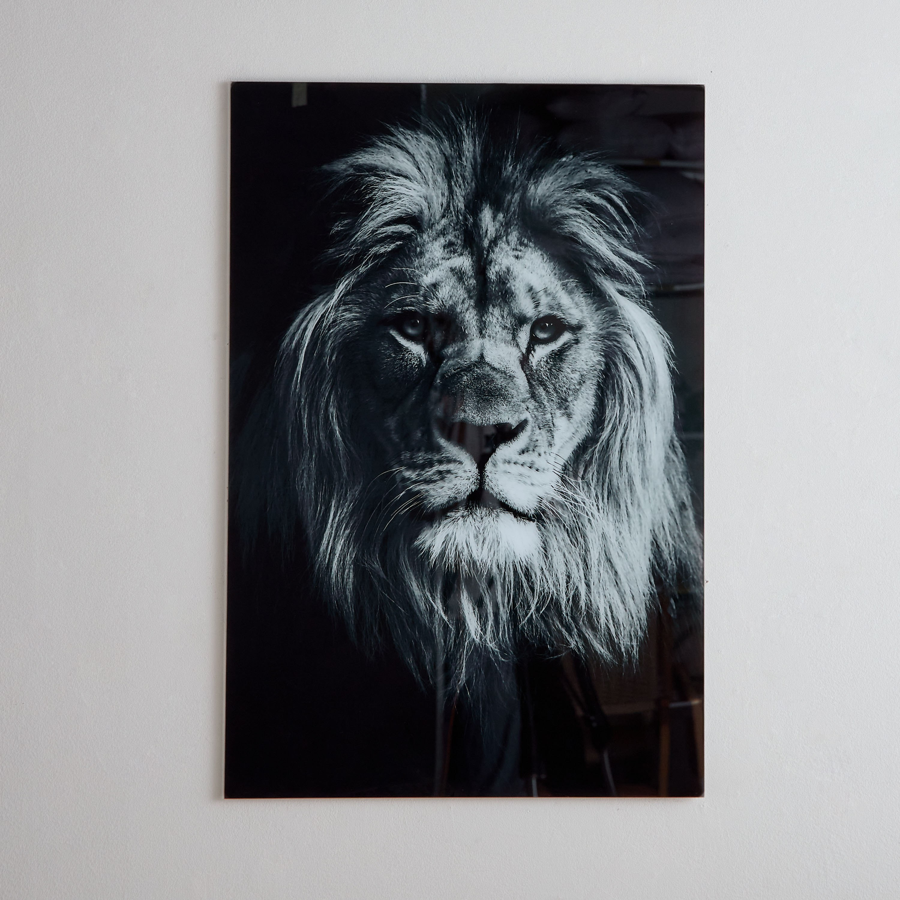 زينة حائط من الزجاج المعالج حراريًا بتصميم أسد من فيستا - 60x90 سم-hbxhomeware-hbxdecorandfurnishings-image-2
