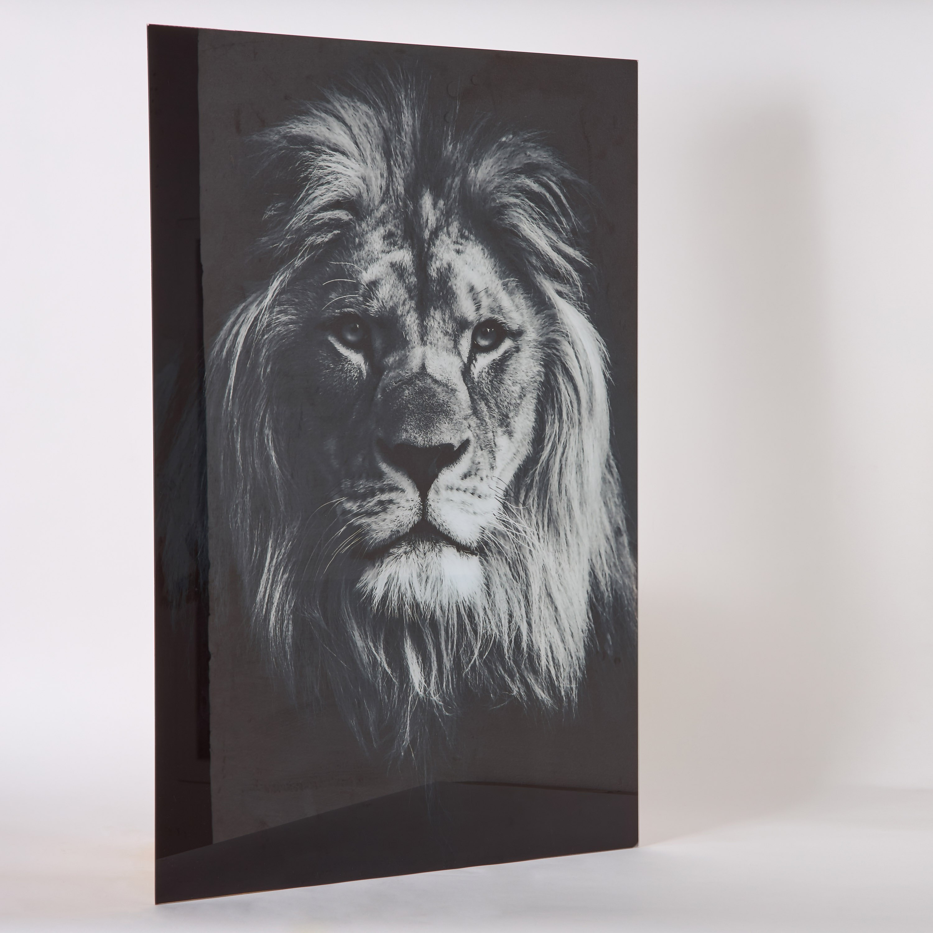 زينة حائط من الزجاج المعالج حراريًا بتصميم أسد من فيستا - 60x90 سم-hbxhomeware-hbxdecorandfurnishings-image-5