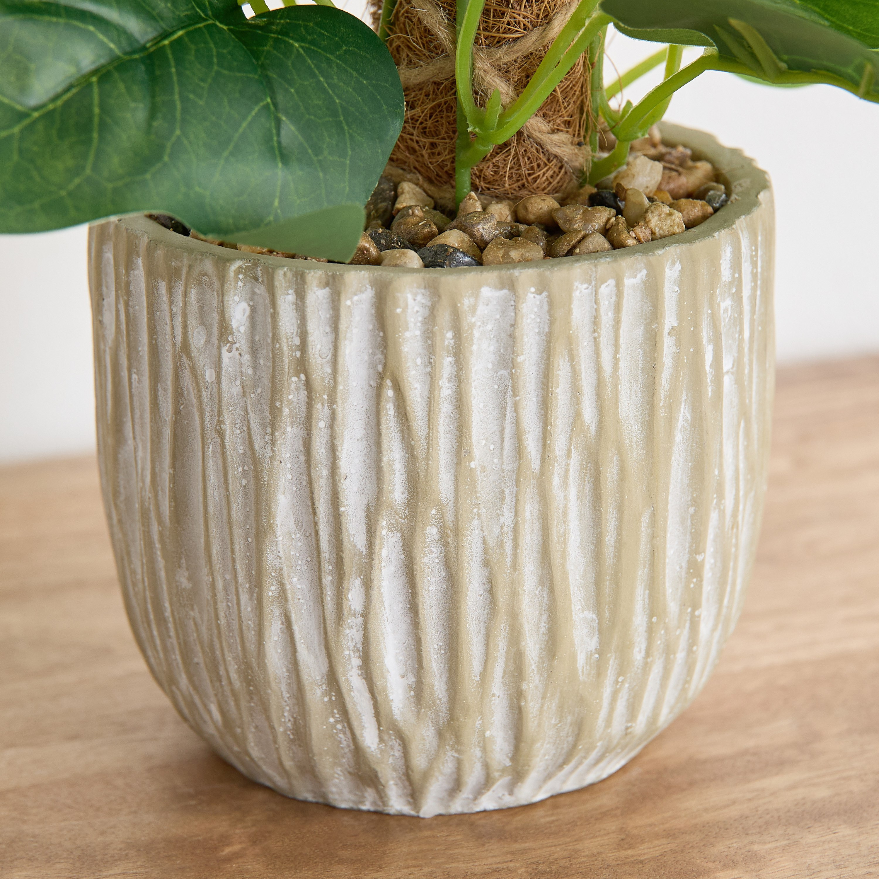 نبات هيدرا في وعاء إسمنتي من سيلو - 15×15×40 سم-hbxhomeware-hbxdecorandfurnishings-image-3