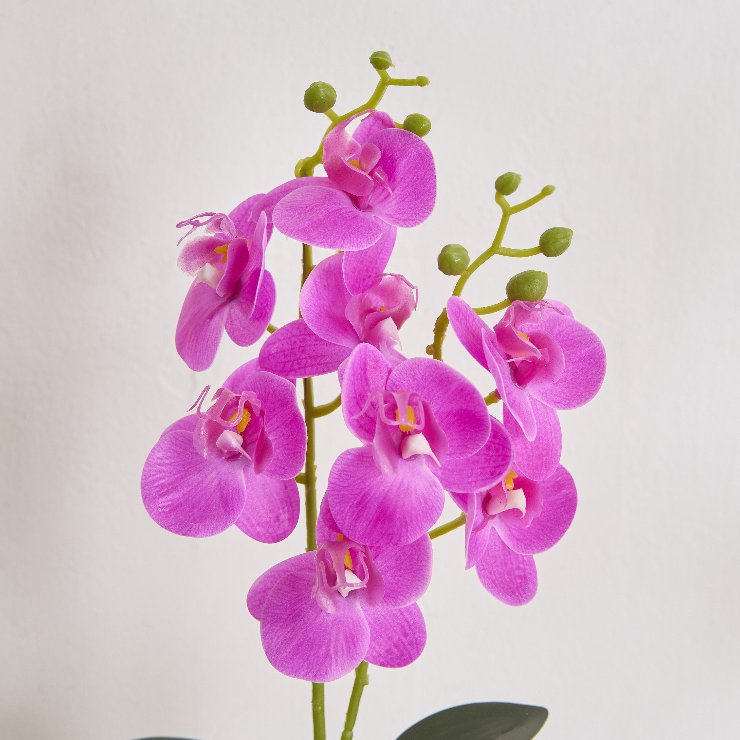 Ceilo Orchid Pink Flower Potted Plant with Ceramic Pot - 12x12x30 cm-PROMO_HB_AE_B1G1_250925-image-2