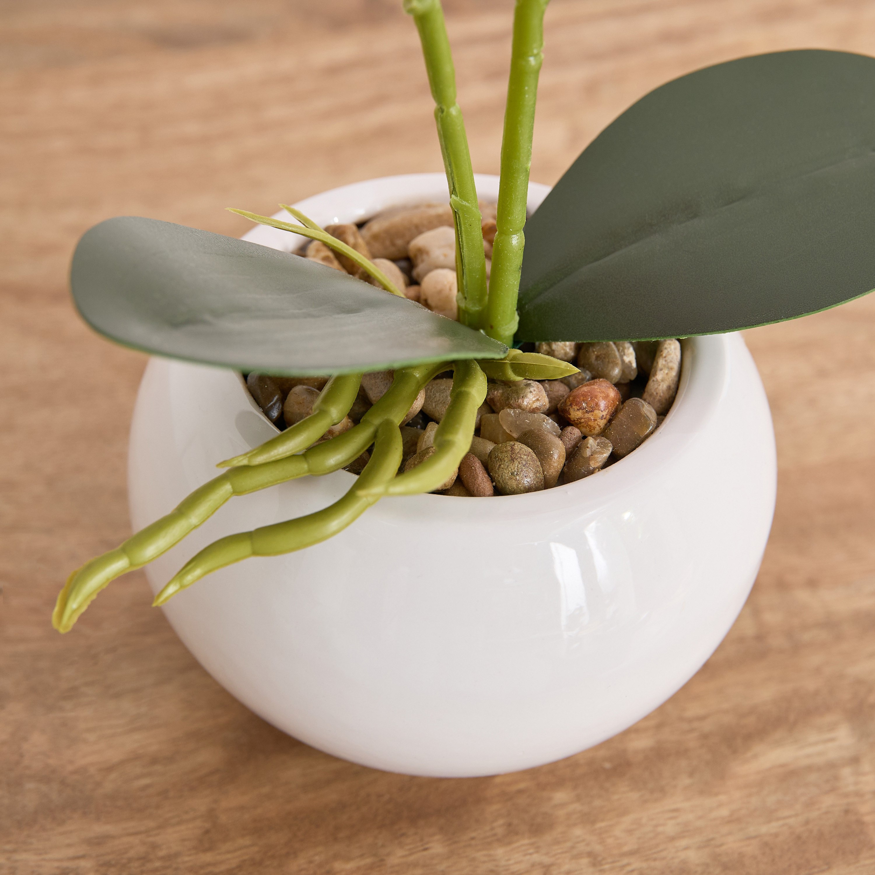 Ceilo Orchid Pink Flower Potted Plant with Ceramic Pot - 12x12x30 cm-PROMO_HB_AE_B1G1_250925-image-3