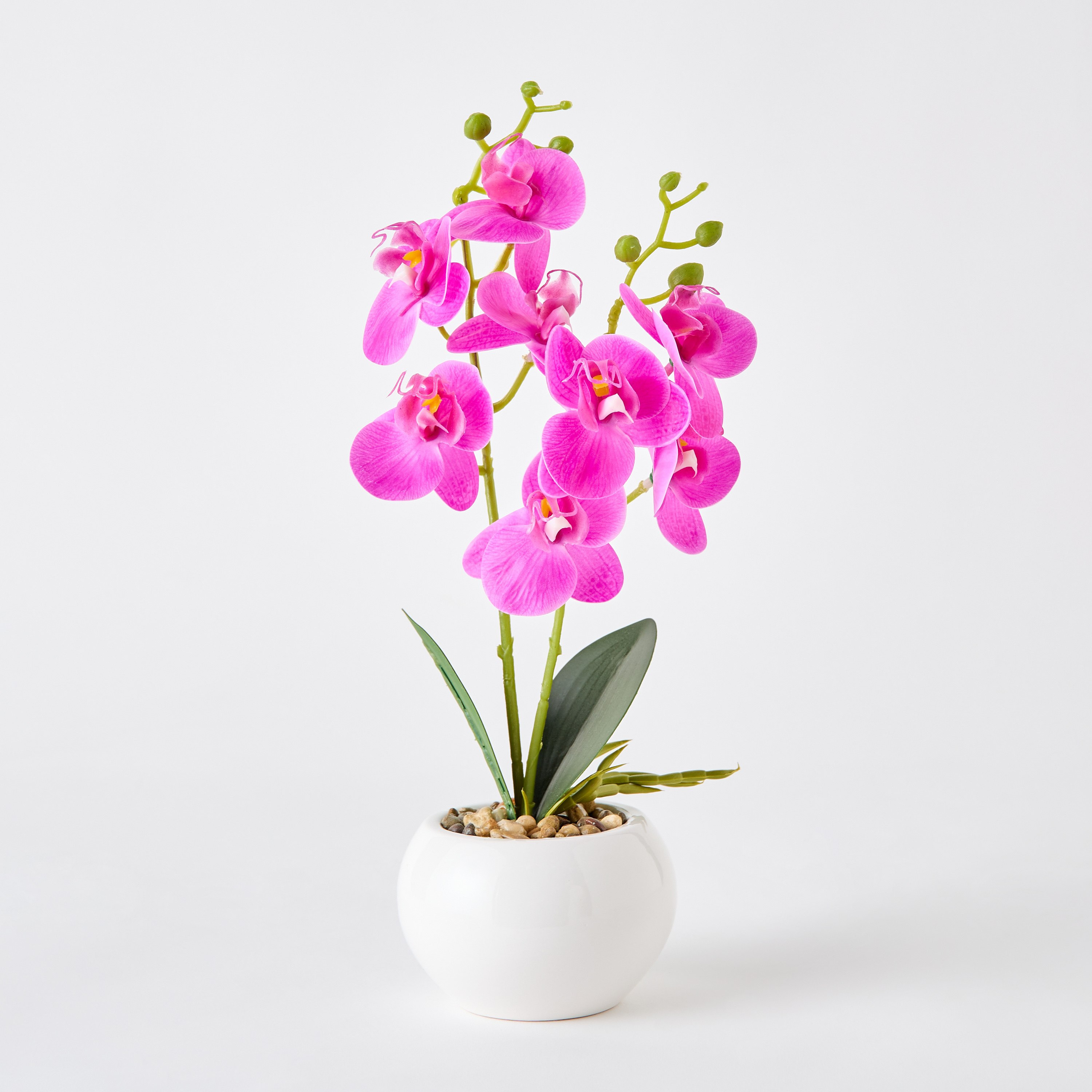 Ceilo Orchid Pink Flower Potted Plant with Ceramic Pot - 12x12x30 cm-PROMO_HB_AE_B1G1_250925-image-5