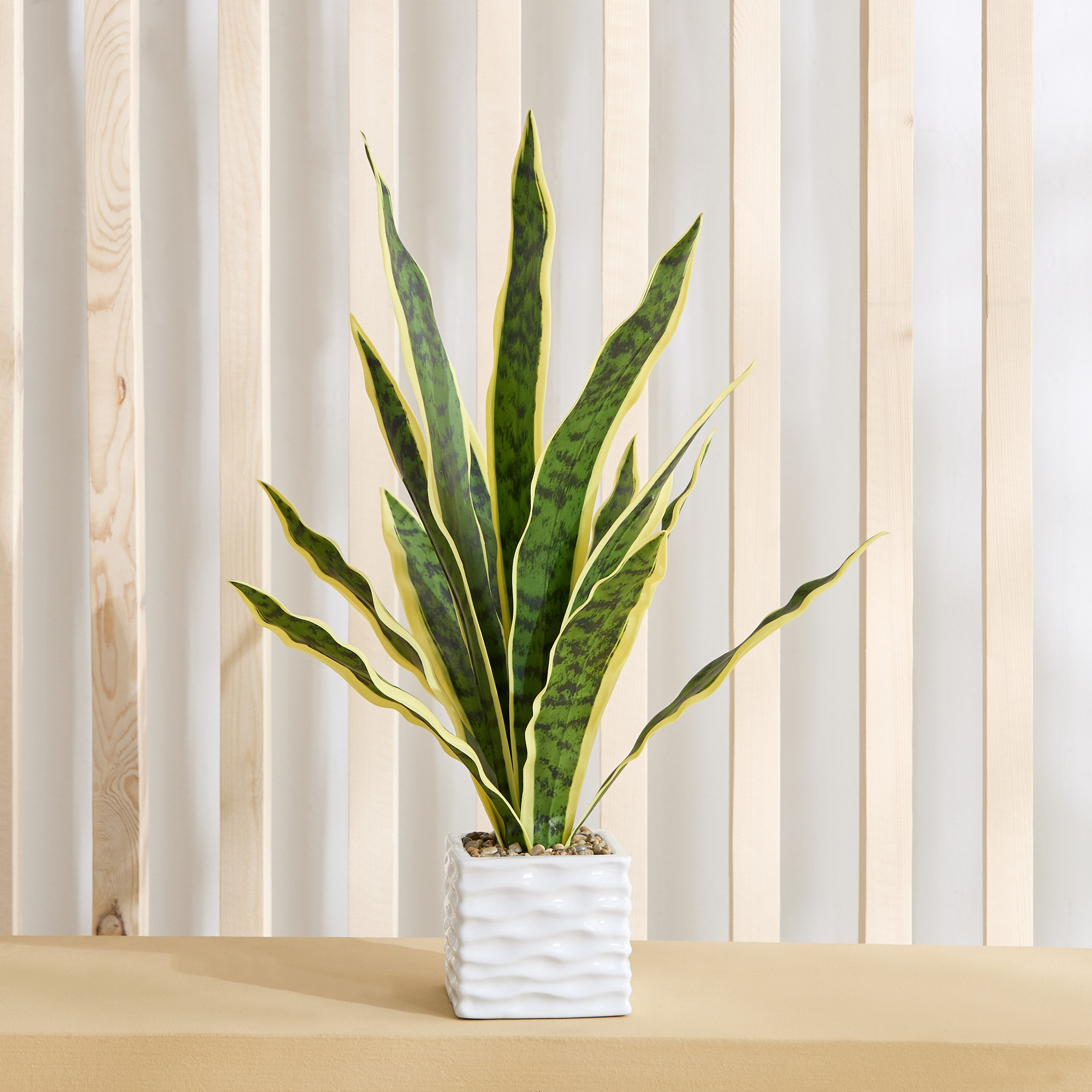 Ceilo Snake Potted Plant with Ceramic Pot - 14x14x58 cm-hbxhomeware-hbxdecorandfurnishings-image-1
