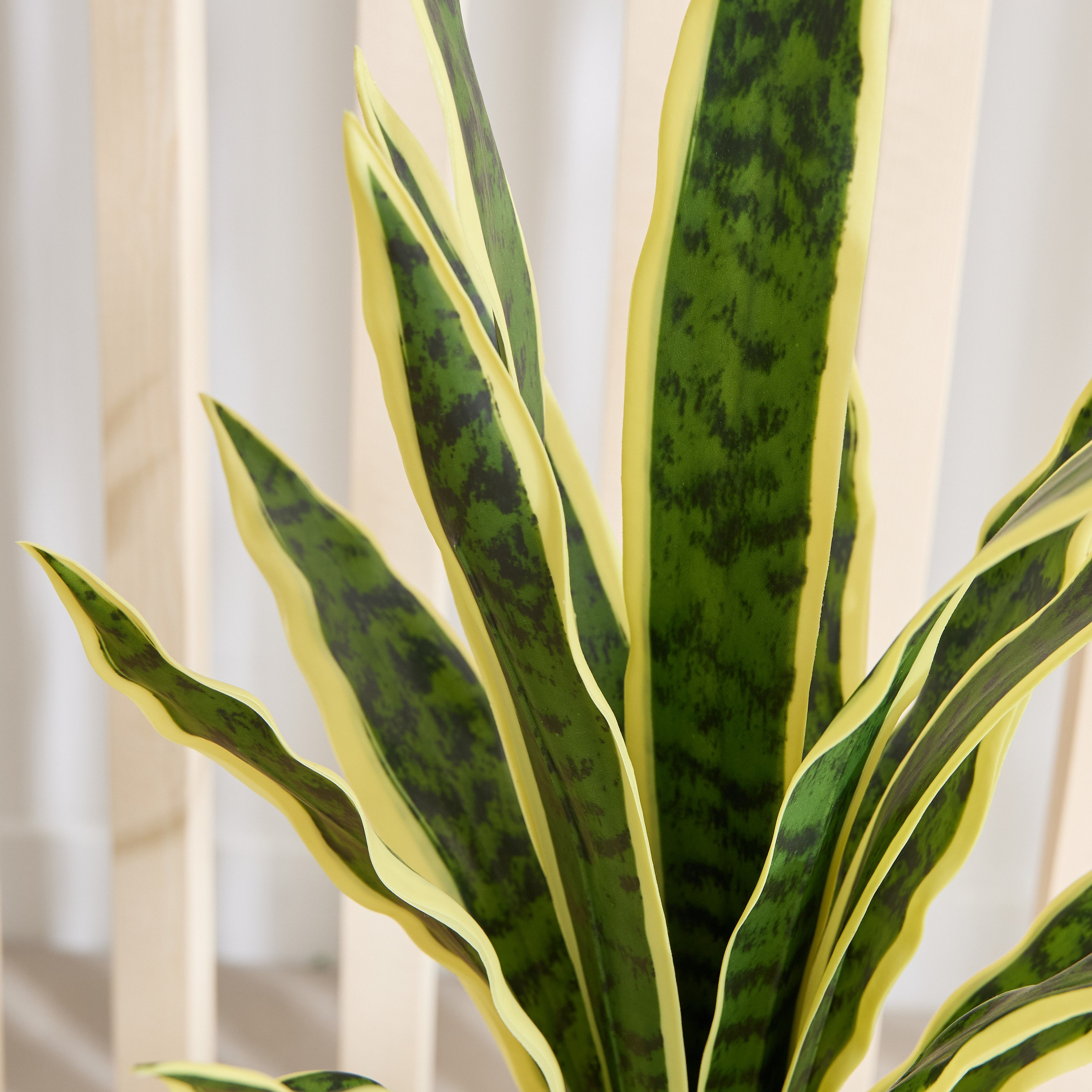 Ceilo Snake Potted Plant with Ceramic Pot - 14x14x58 cm-hbxhomeware-hbxdecorandfurnishings-image-2